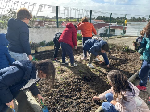 Arrancar as ervas e preparar o terreno, para as sementeiras e plantações -  2ª horta.