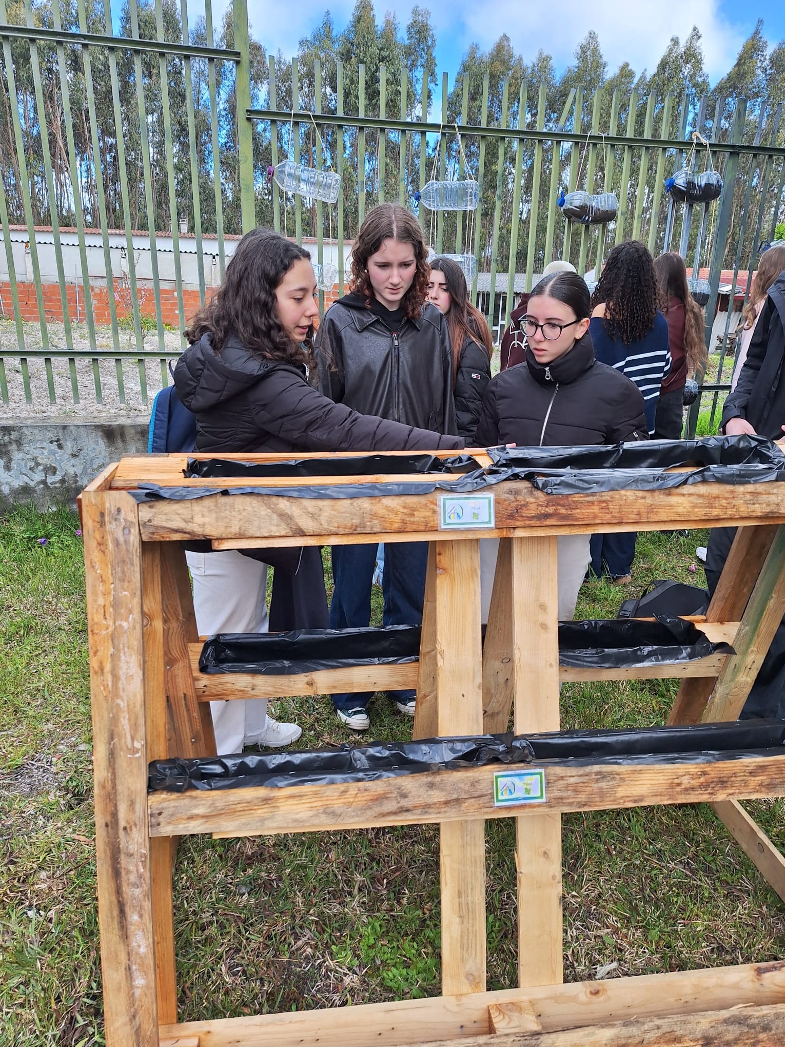 Colocação das sementes na terra aproveitando as paletes