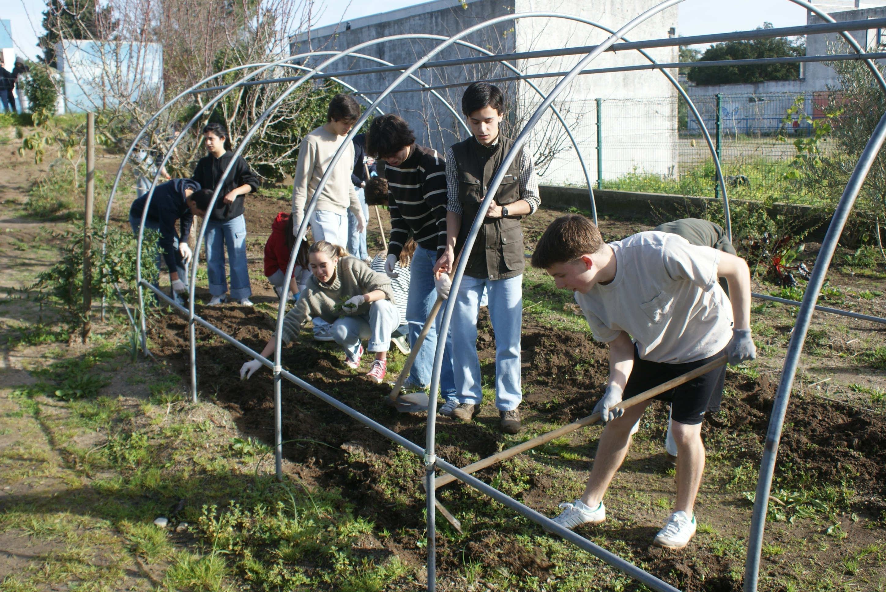 Limpeza e preparação do terreno da estufa