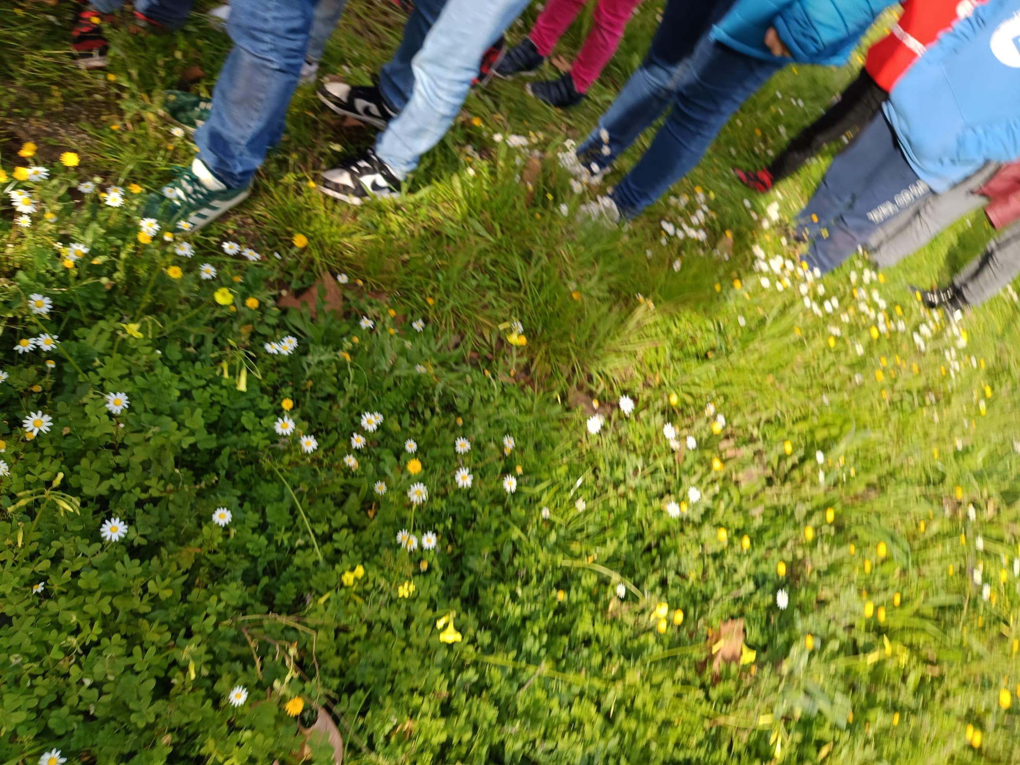 Alunos a analisarem o terreno