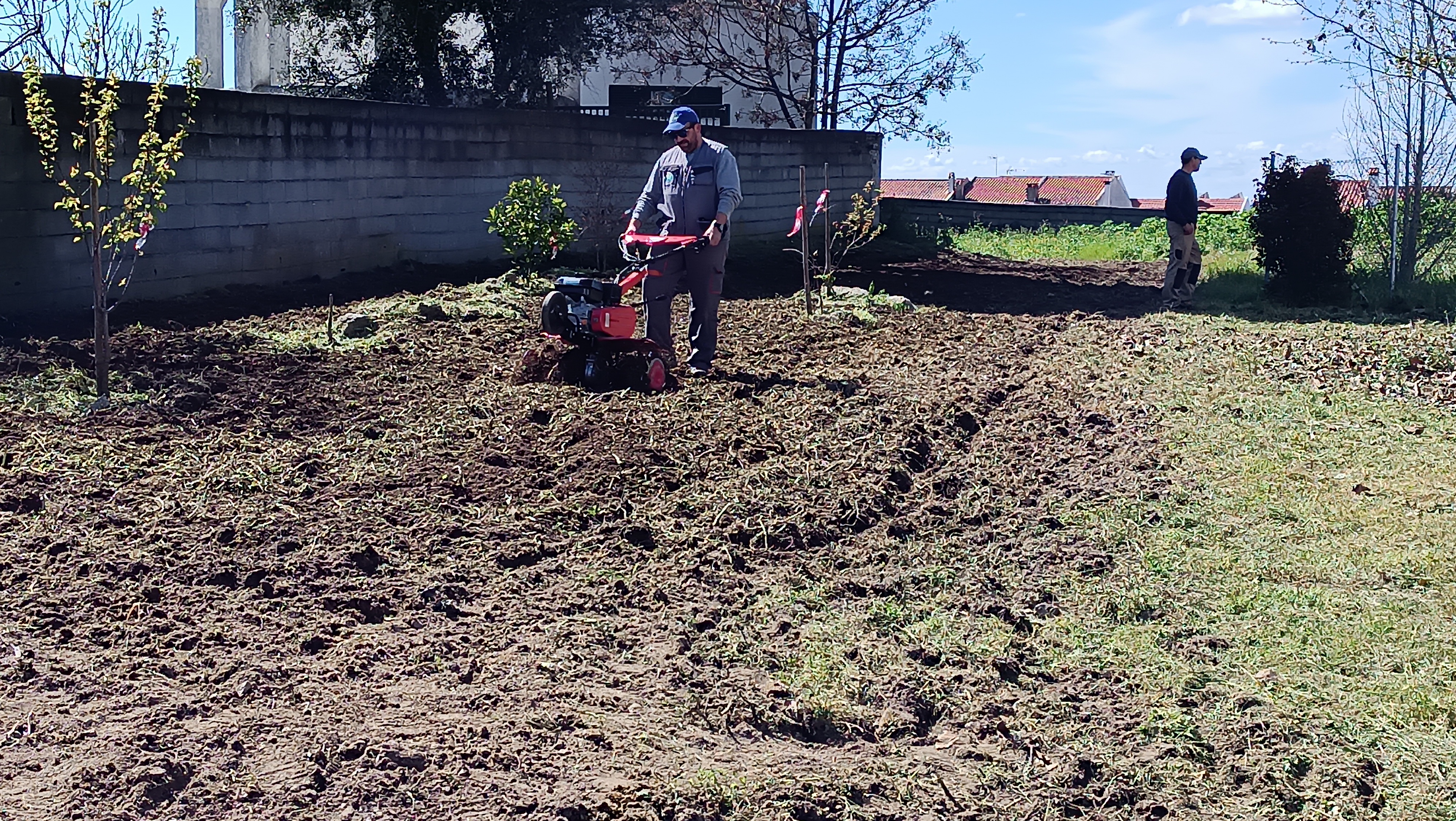 Trabalhadores da Junta de freguesia a tratar o terreno.