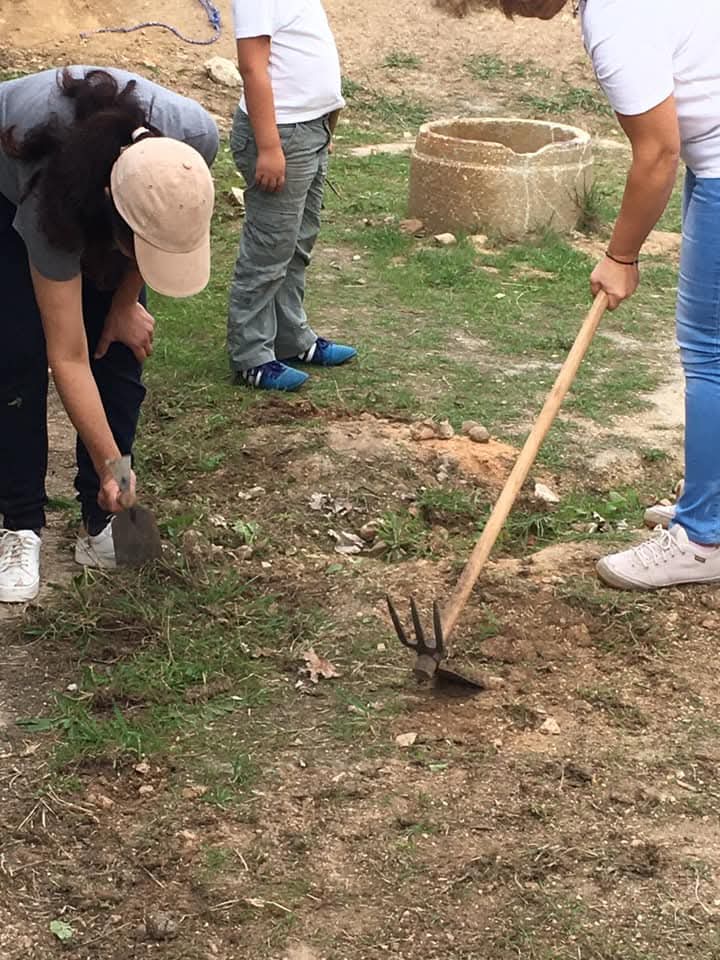 Preparar a terra