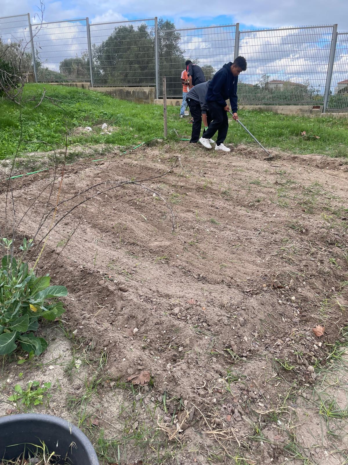 preparação e limpeza do terreno