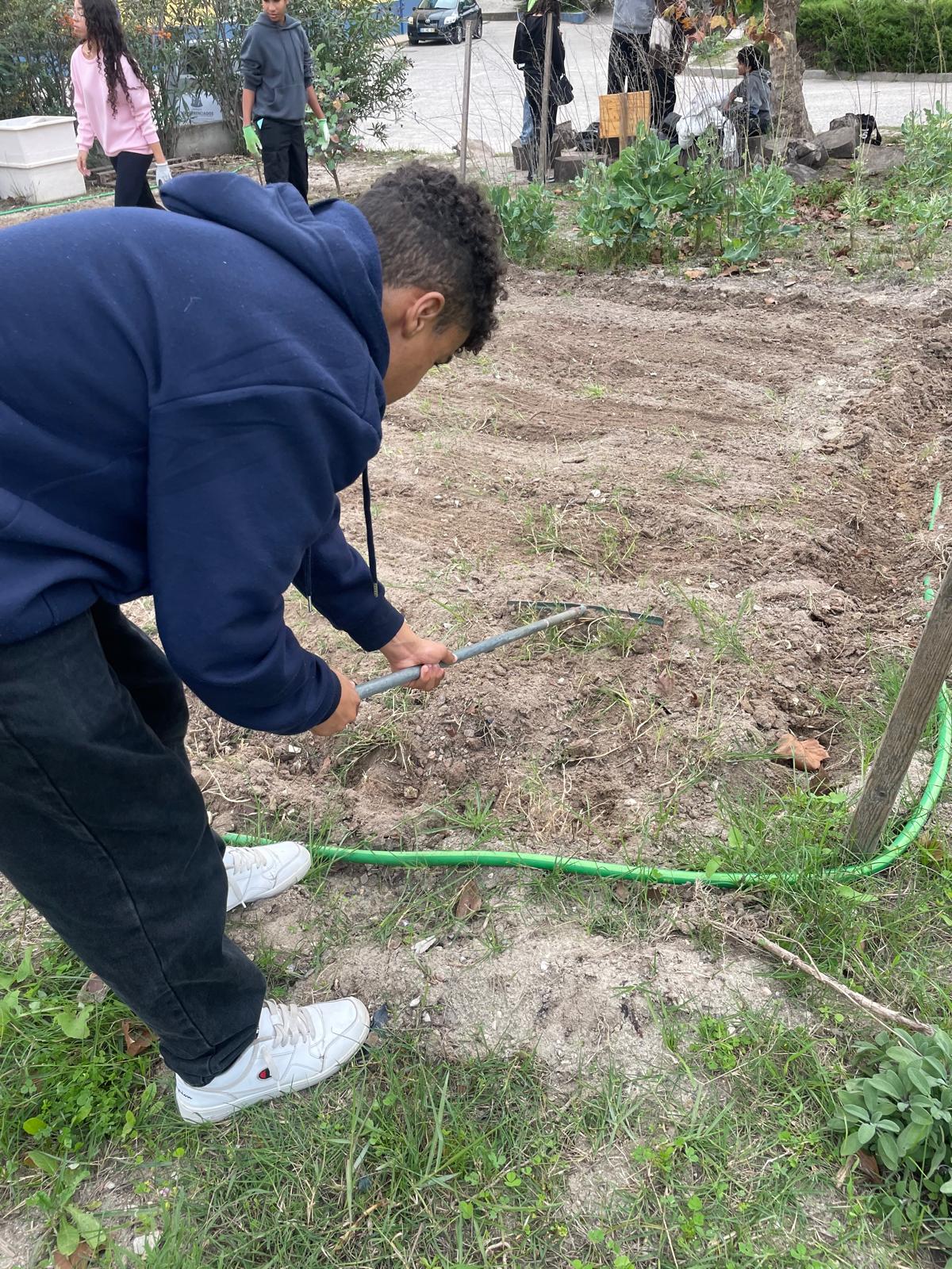 preparação e limpeza do terreno