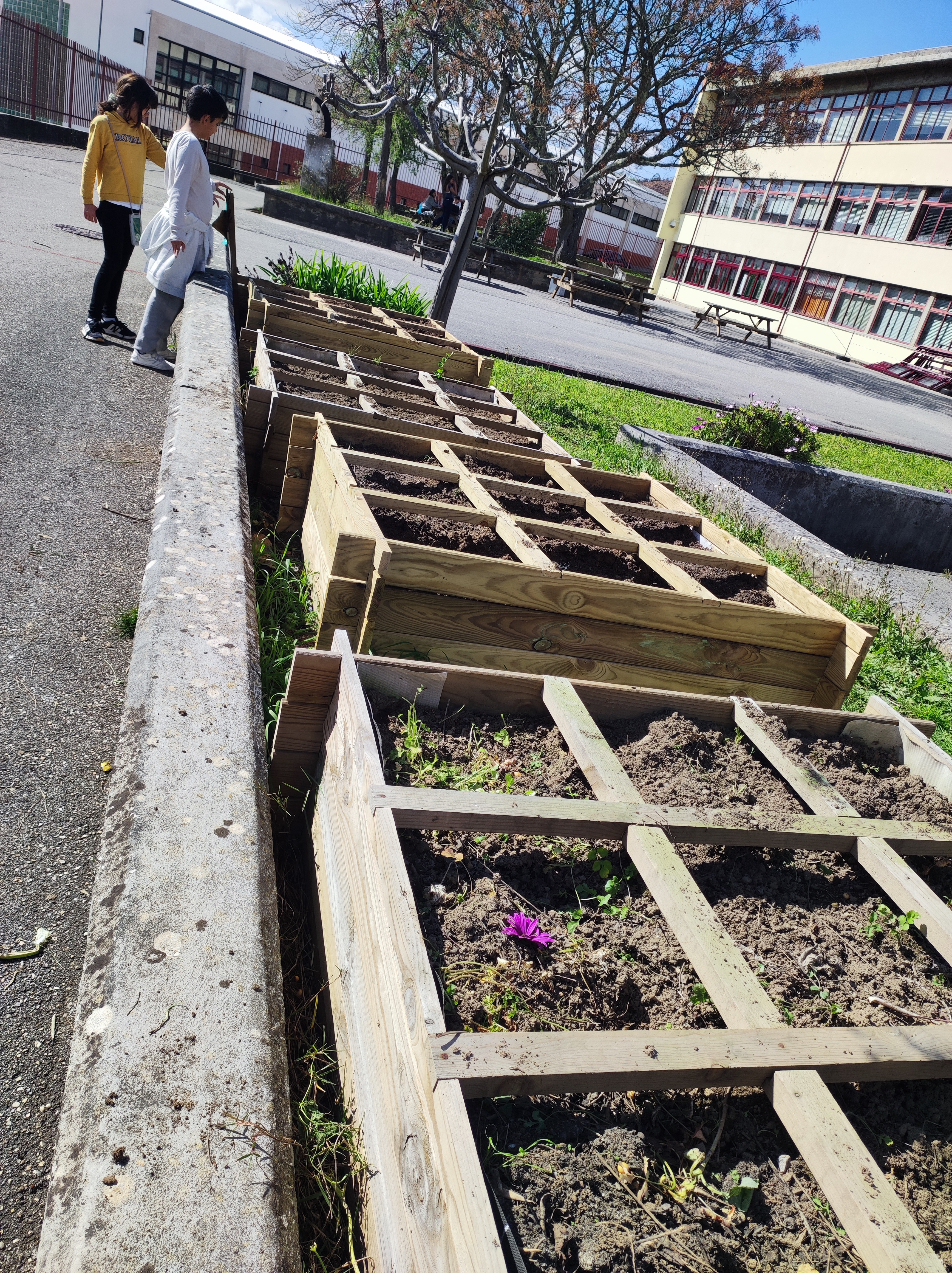 Terreno preparado para a plantação