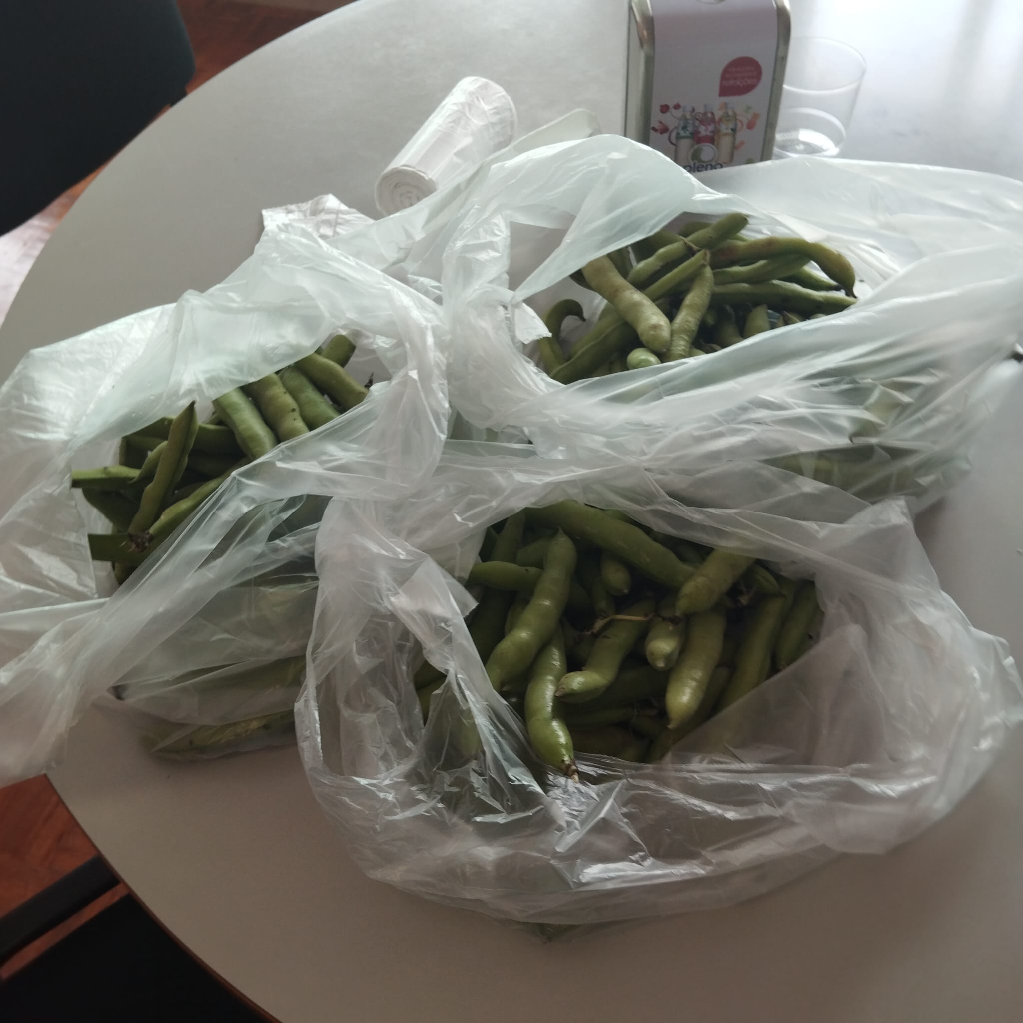 Colheita favas