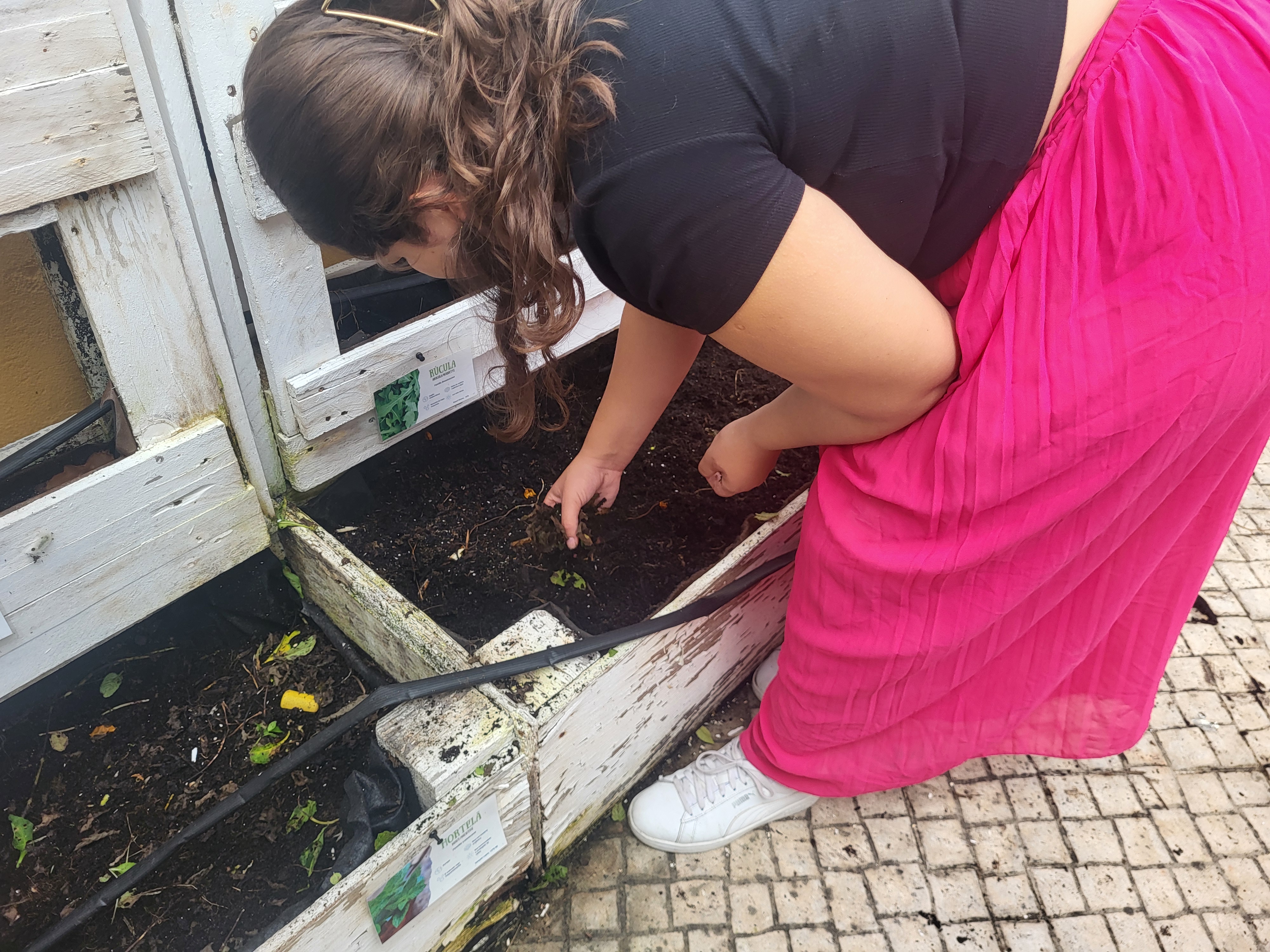 Todo o material orgânico antigo recolhido do canteiro foi para o compostor.