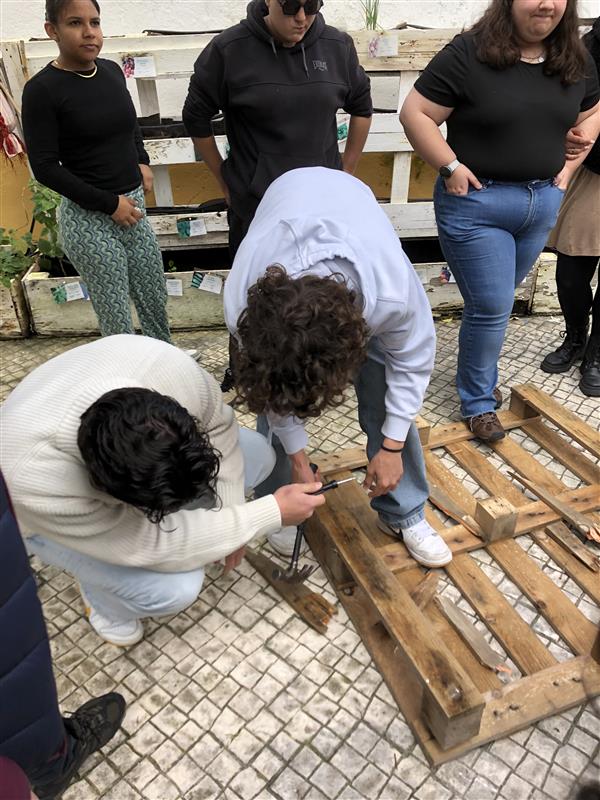 Nesta etapa, inicialmente, escolheu-se entre canteiros elevados, em paletes, suspensos ou outros tipos de canteiros, dependendo do espaço disponível. 