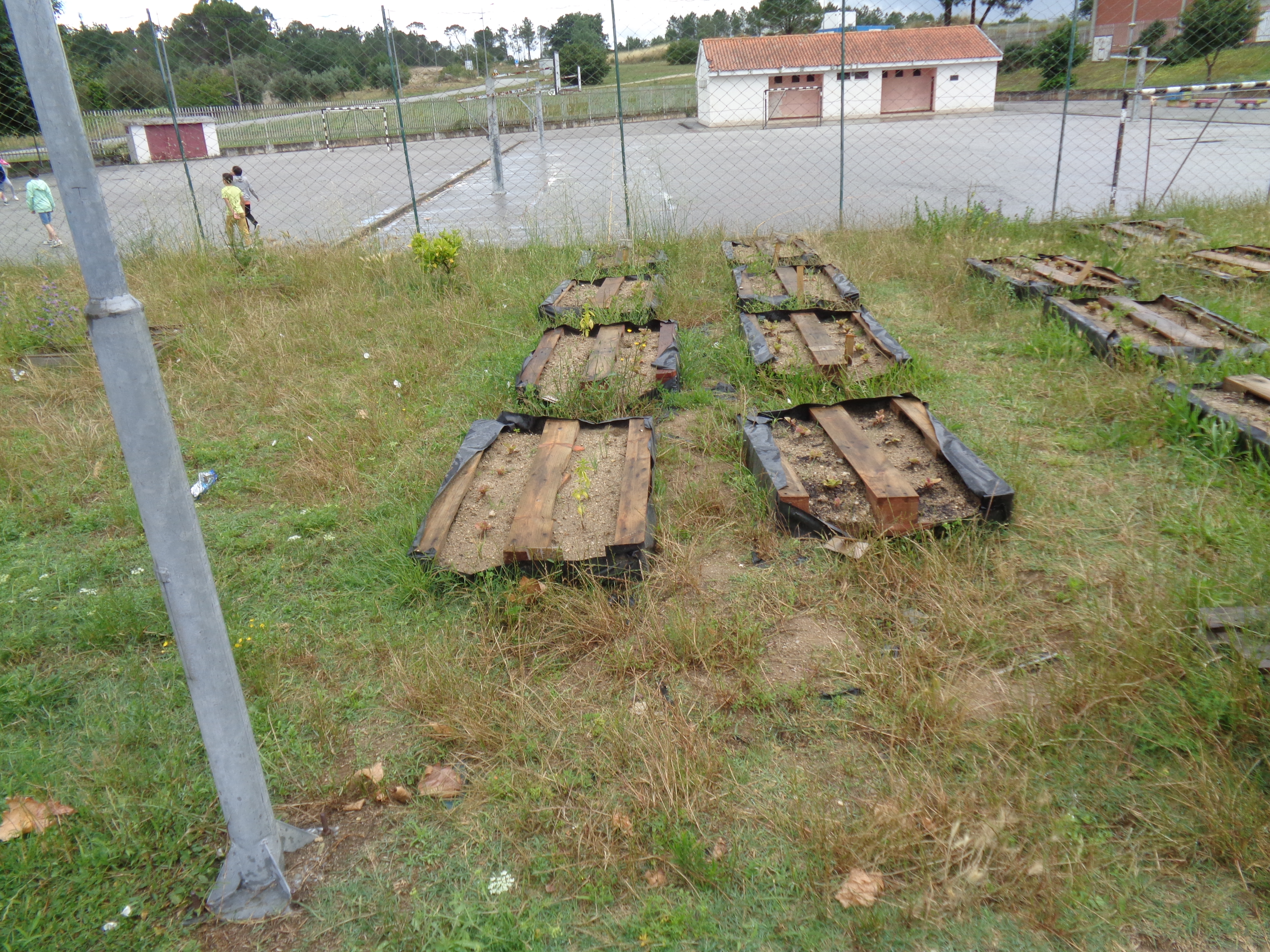 Horta - preparação do terreno_01