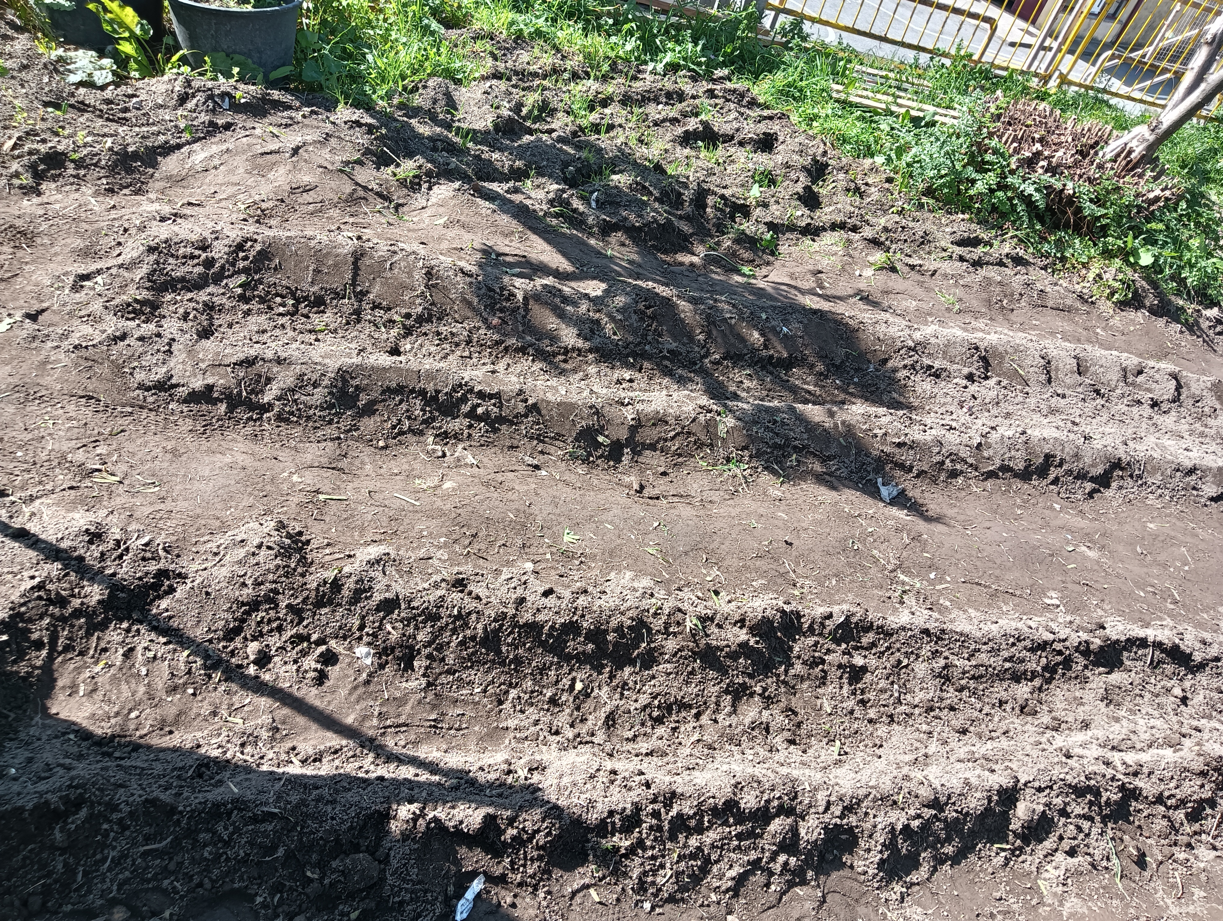 Preparação do terreno na estufa para plantar alfaces.