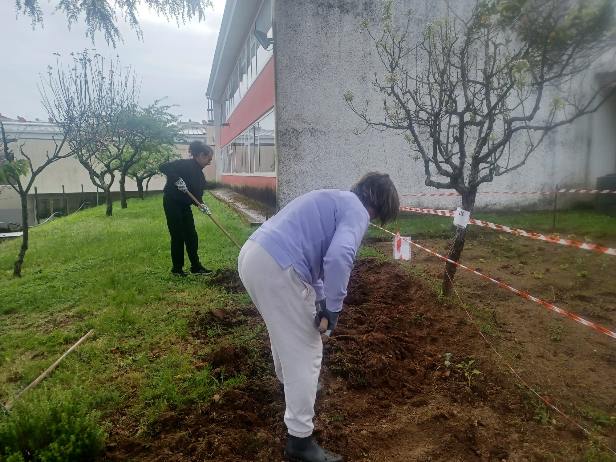 Preparar a terra 3