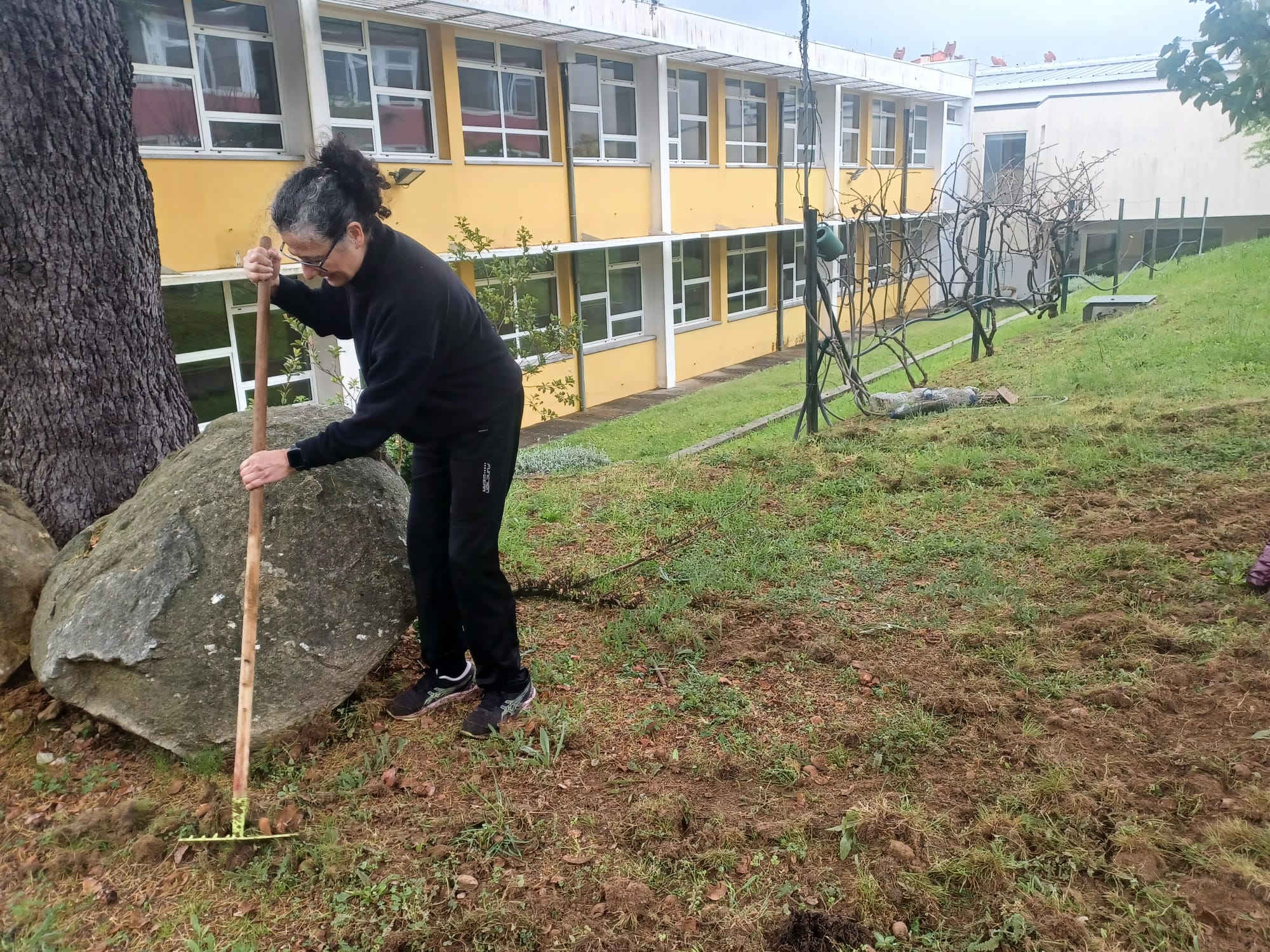 Preparar a terra