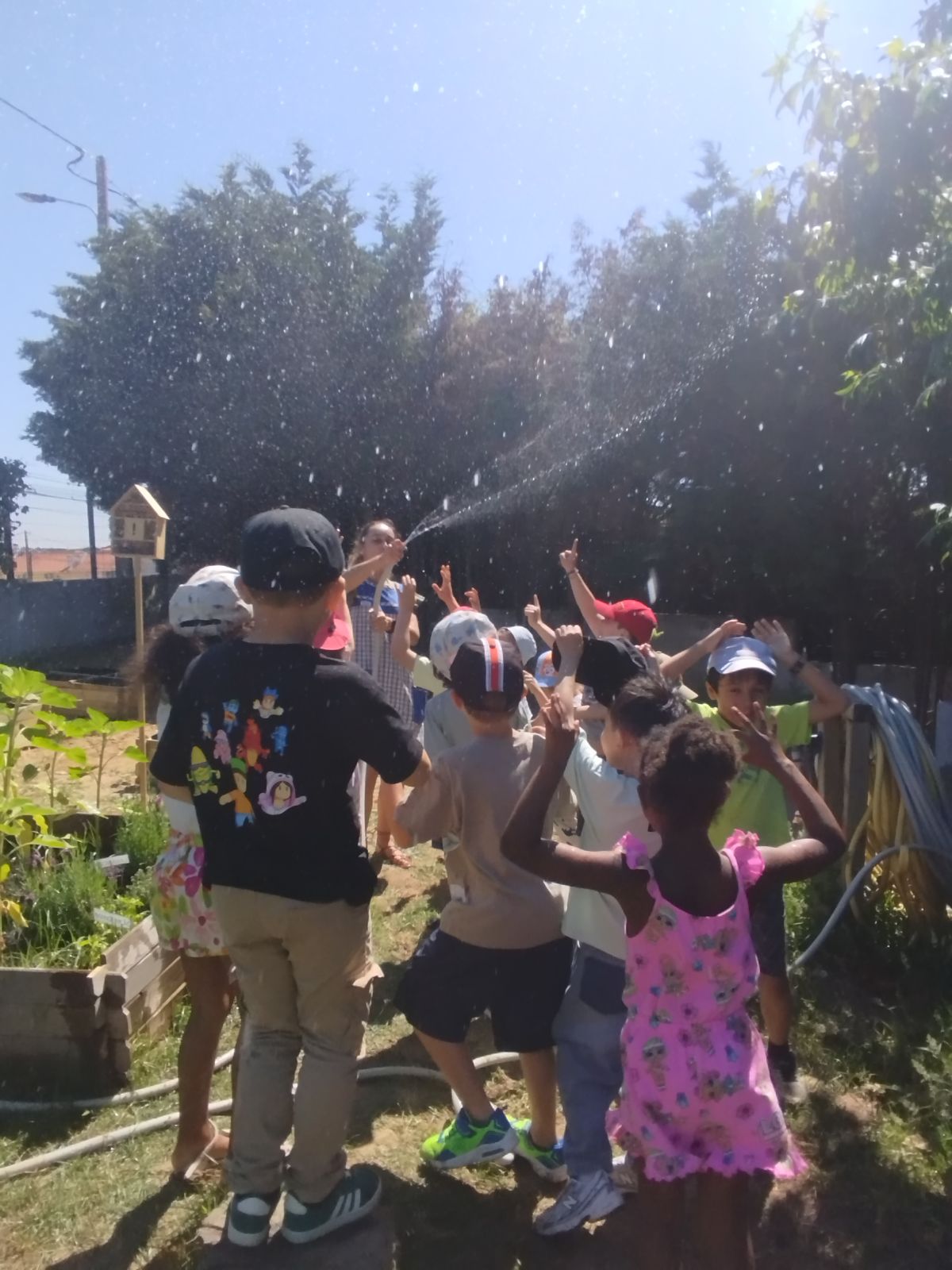 Visita à nossa horta
