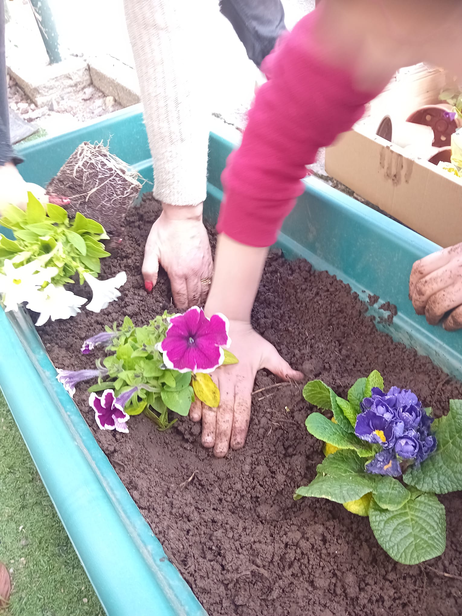A plantar