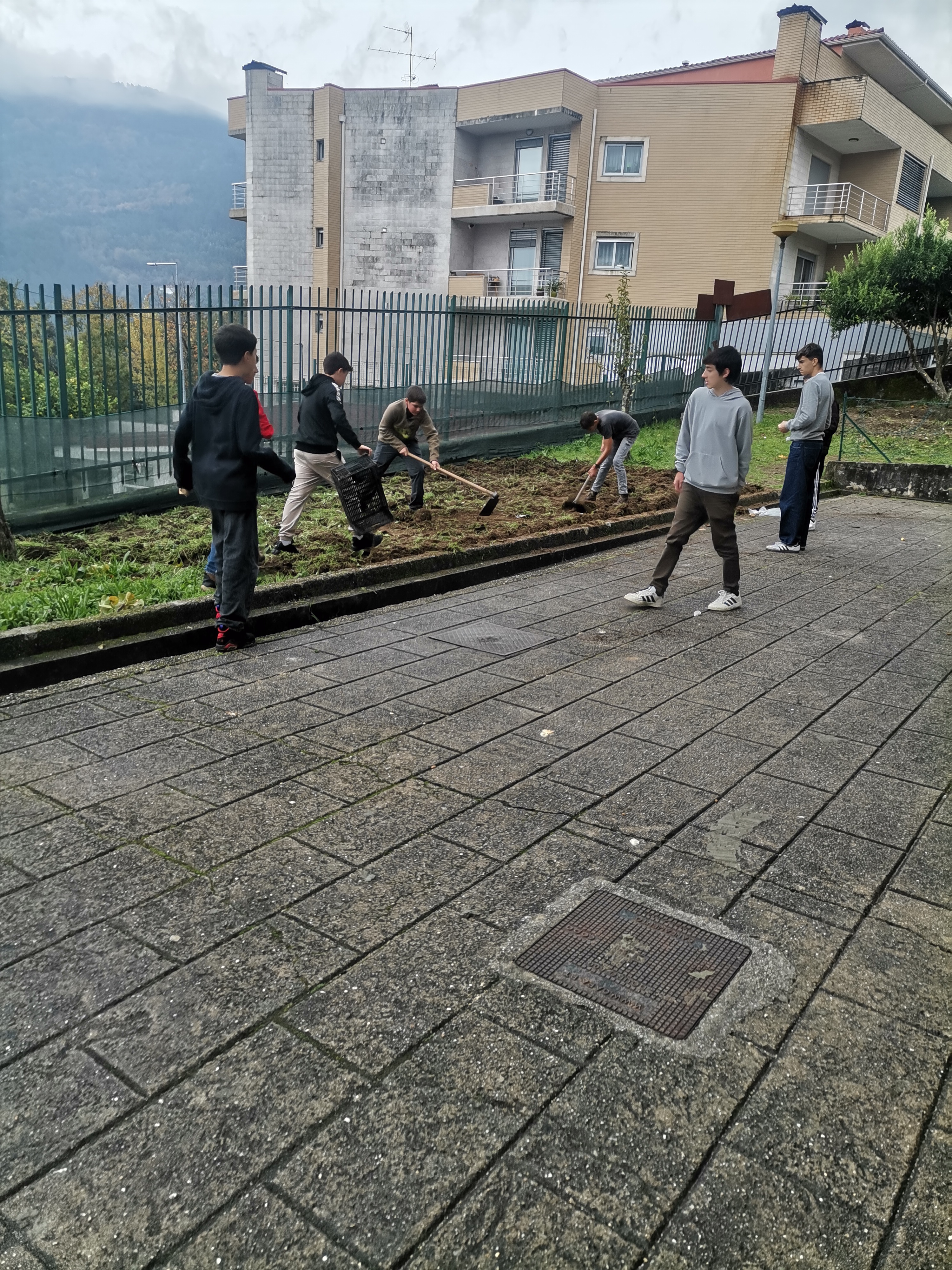 Preparação do terreno