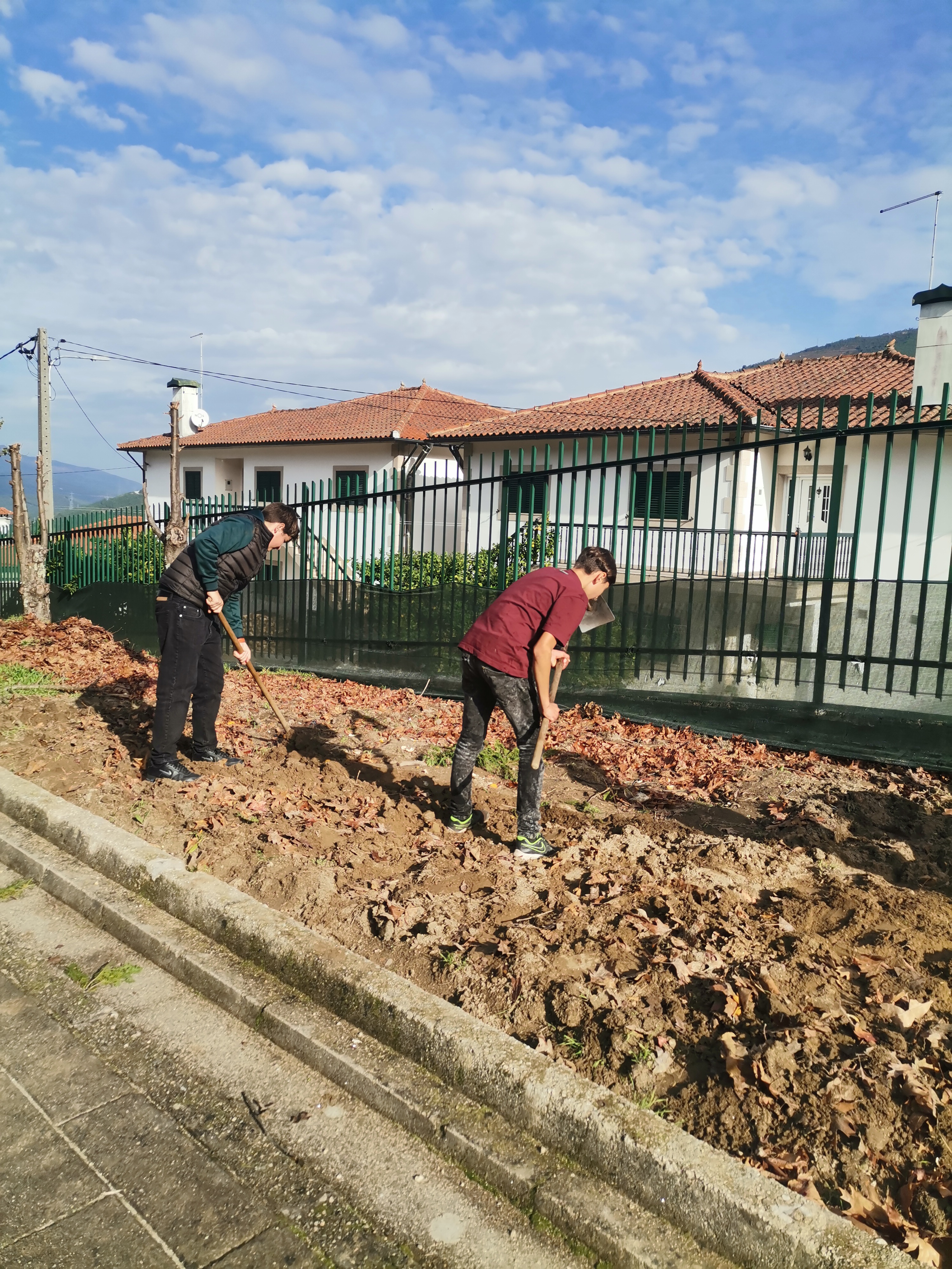 Finalizar a Plantação