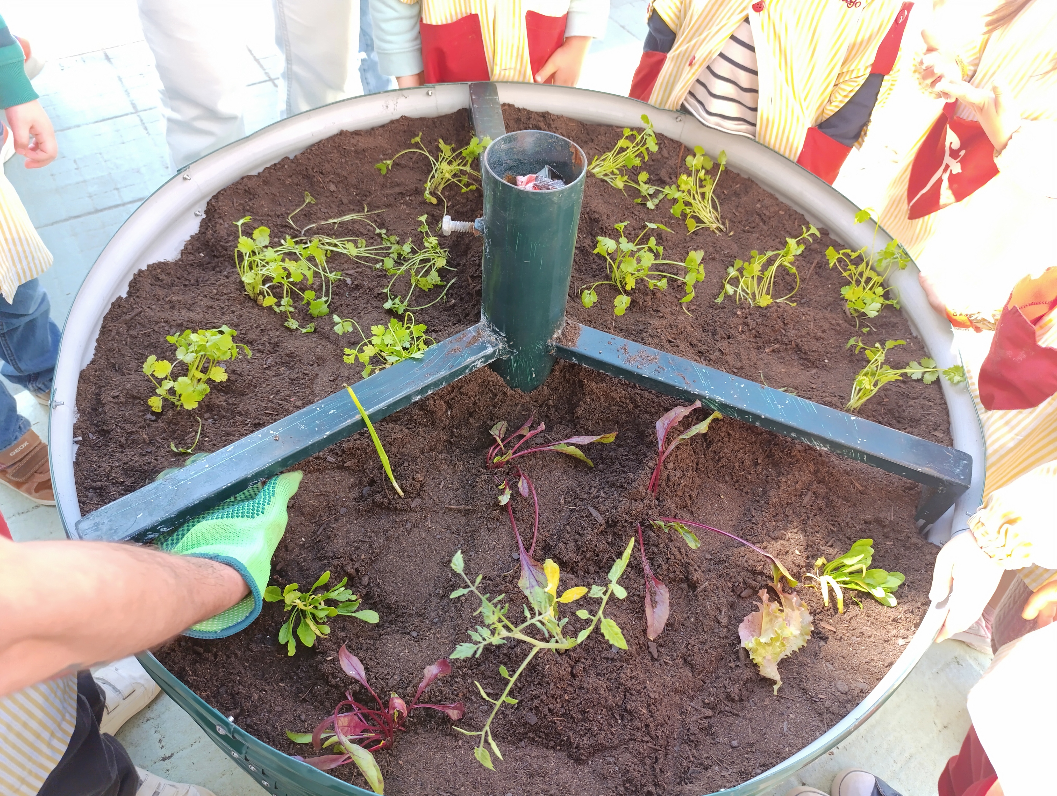 Continuação de plantações