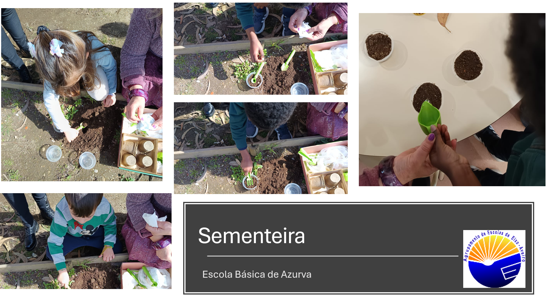 Sementeira.