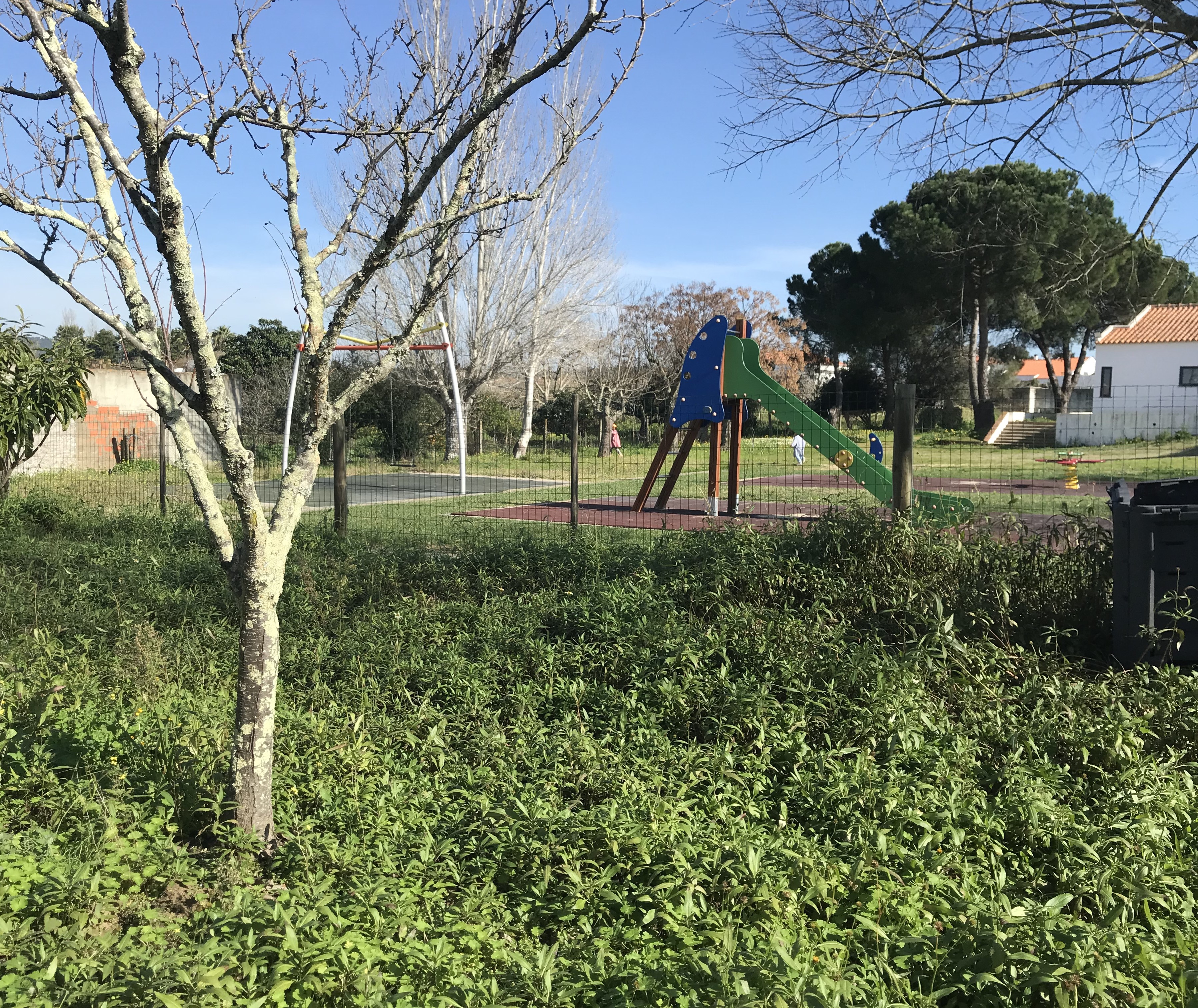 Espaço da horta  no inicio.