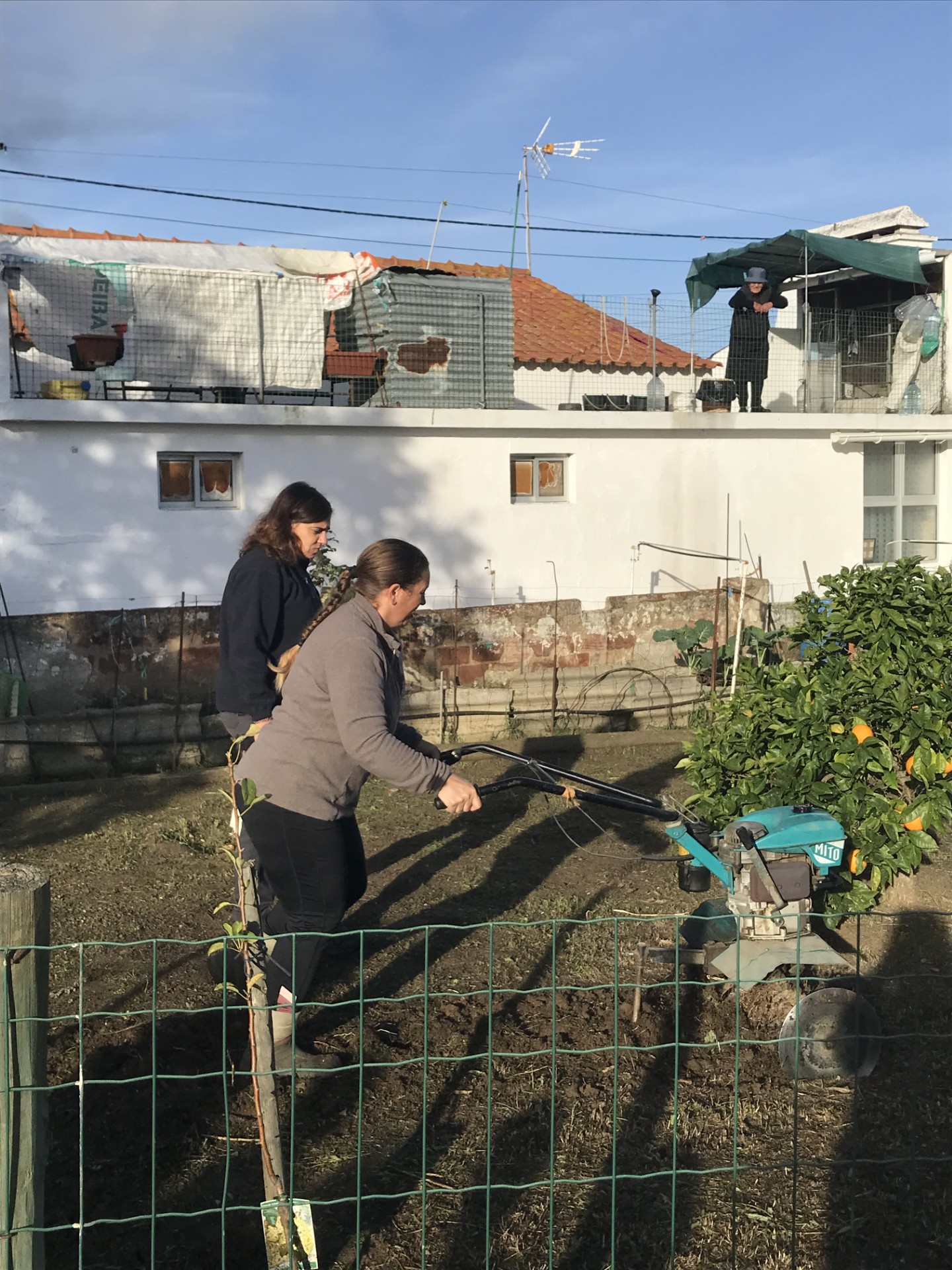 Preparação da terra para a horta.