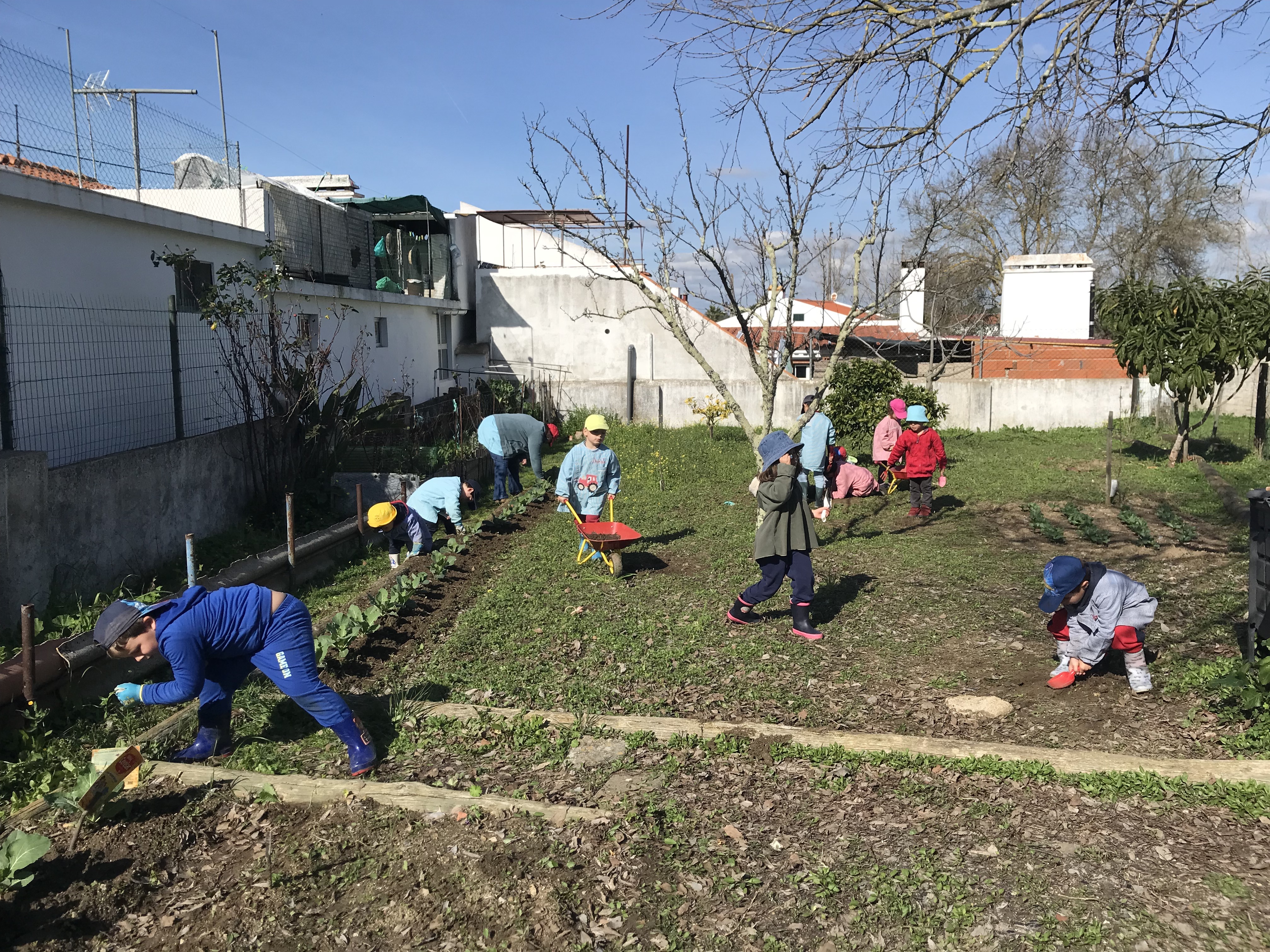 Trabalho de limpeza e manutenção da horta.