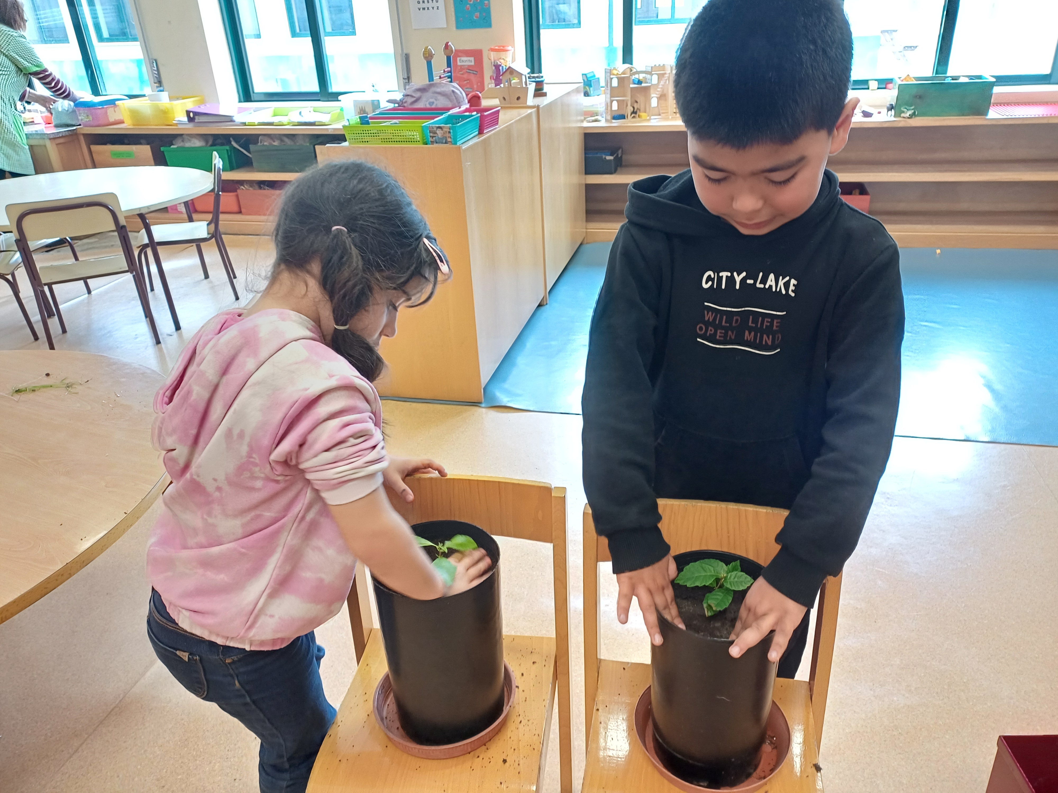 Plantações em vasos Pré-escolar