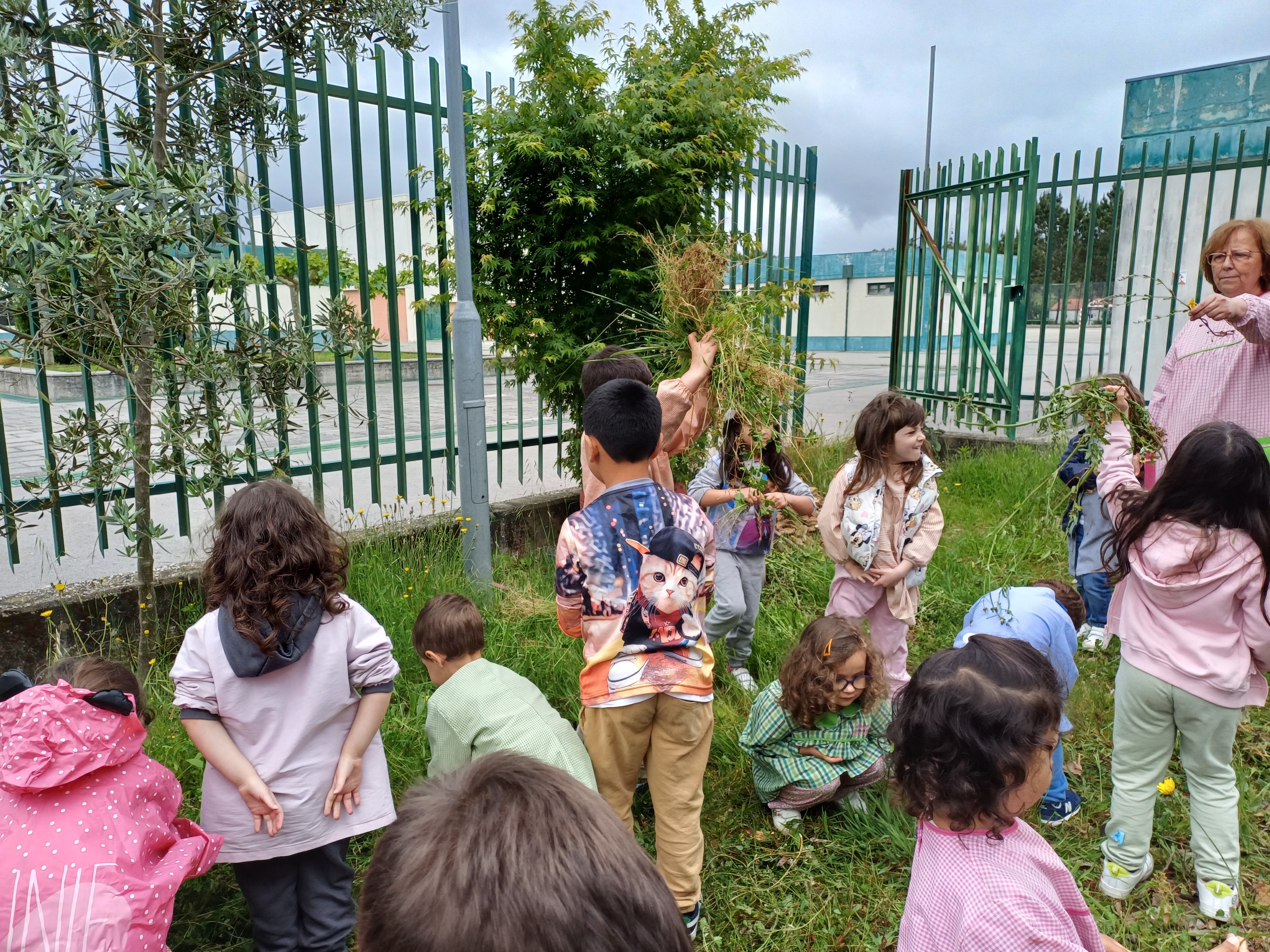 Plantação do cantinho do Pré-escolar