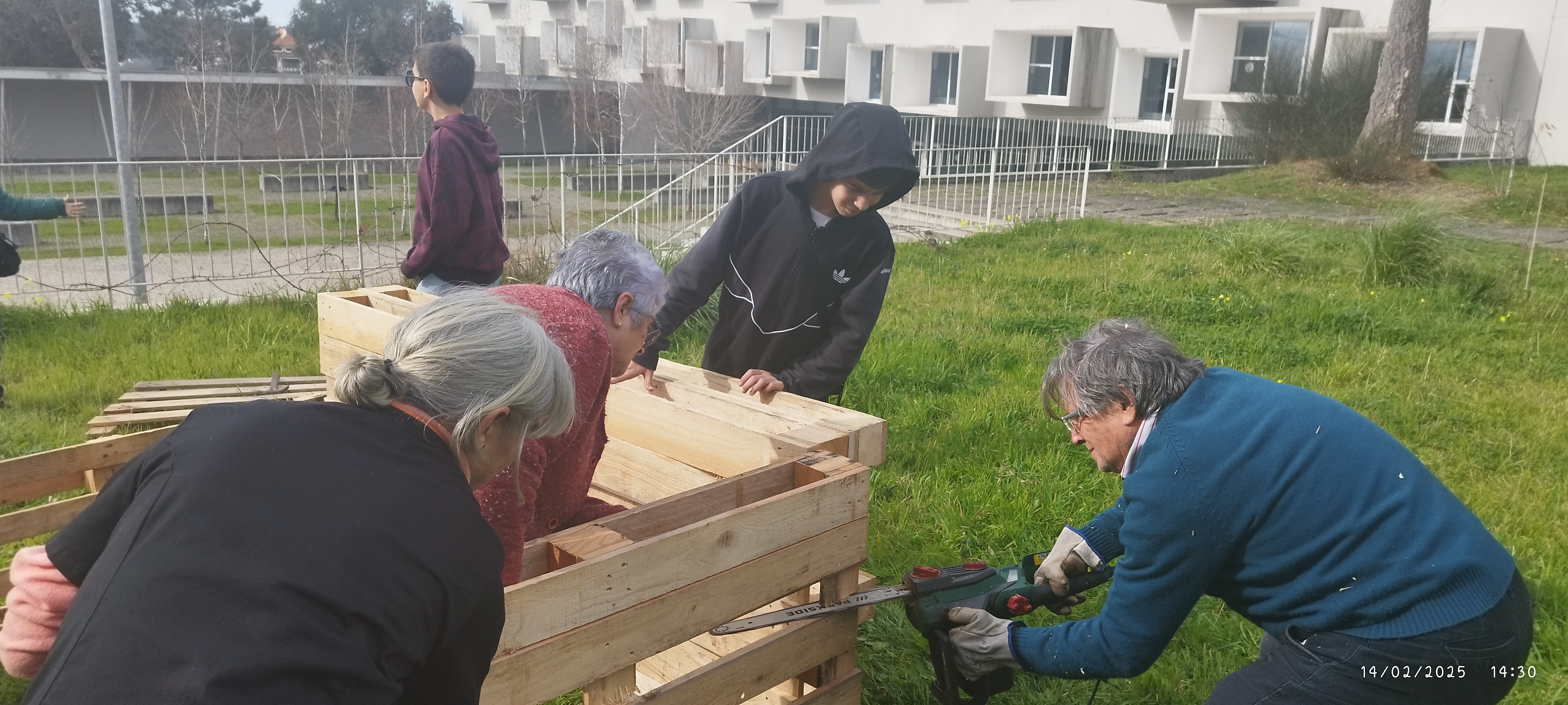 Início da construção da horta com envolvimento dos avós de alunos e assistentes operacionais. Foto 2