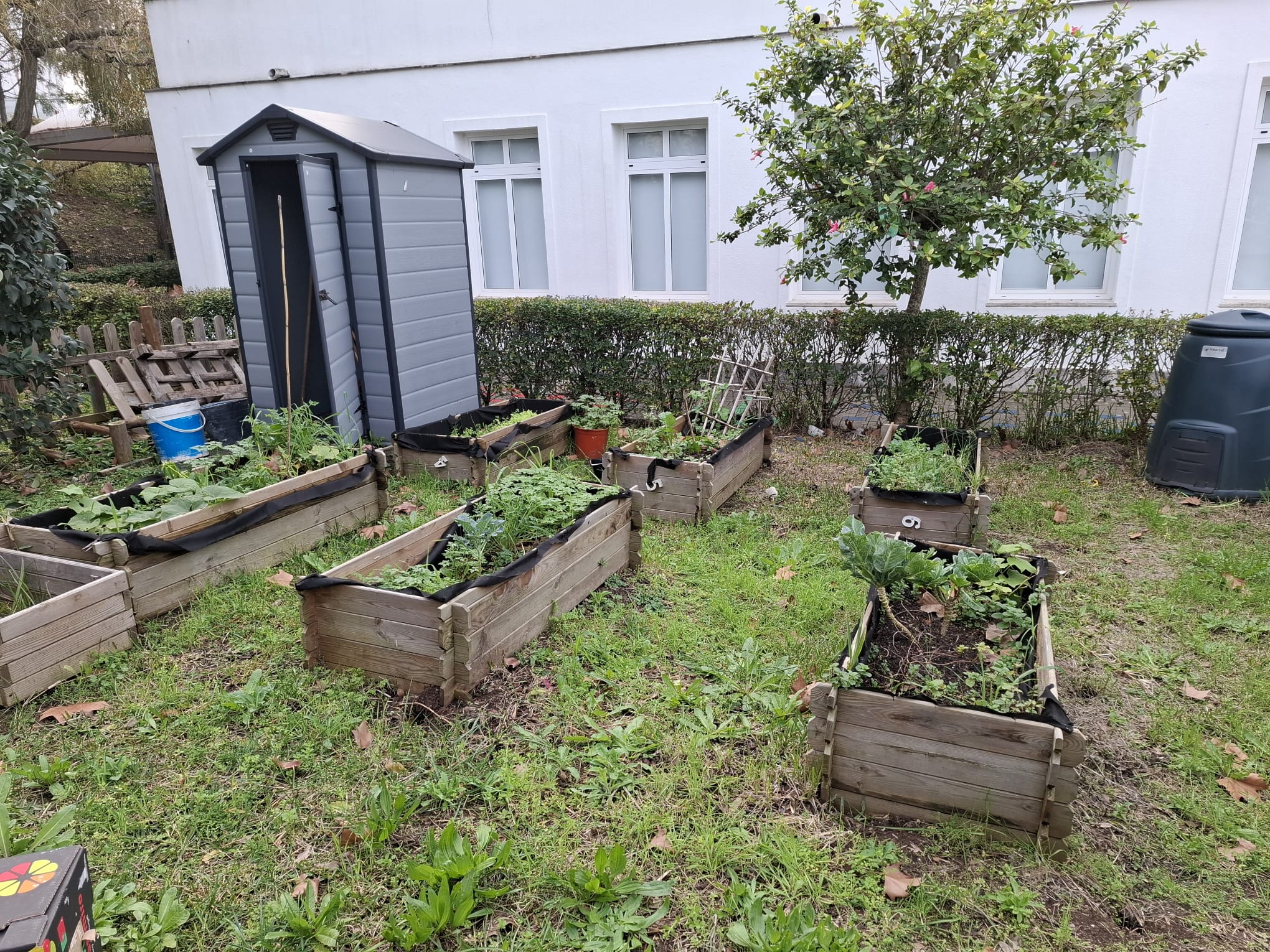 Horta limpa