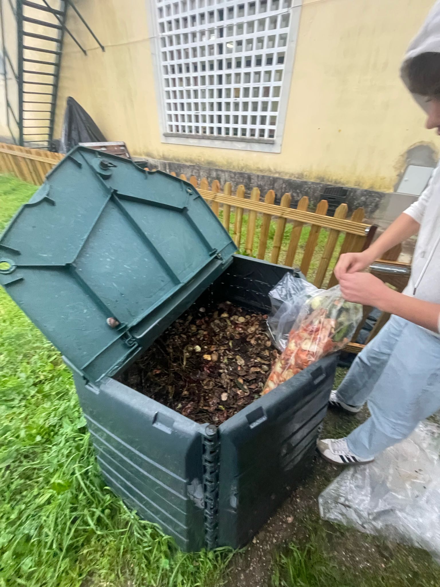 Aproveitamento de resíduos orgânicos da cantina escolar para compostagem.