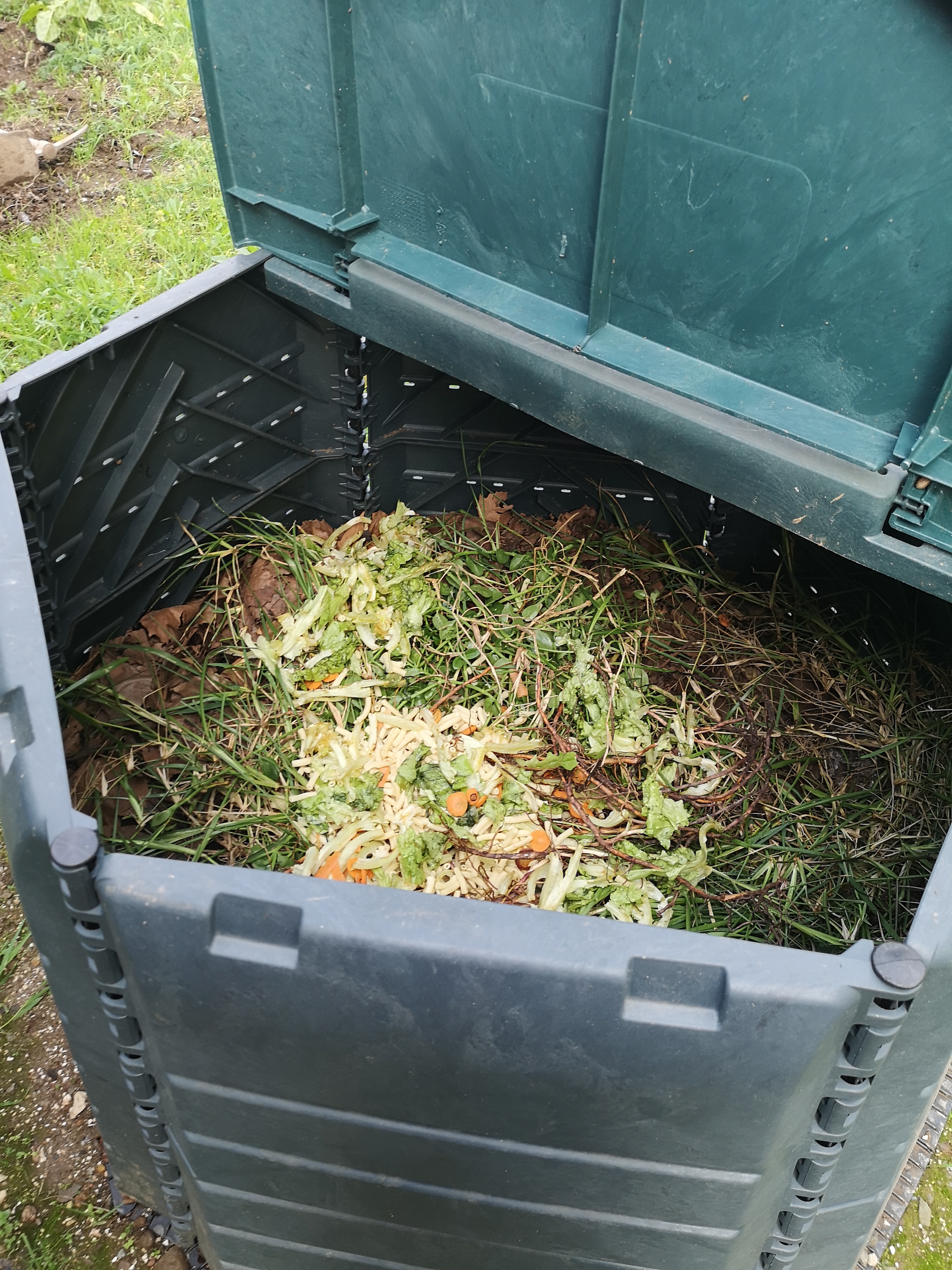 Compostor: mistura de resíduos orgânicos (verdes) com folhagem seca (castanhos)