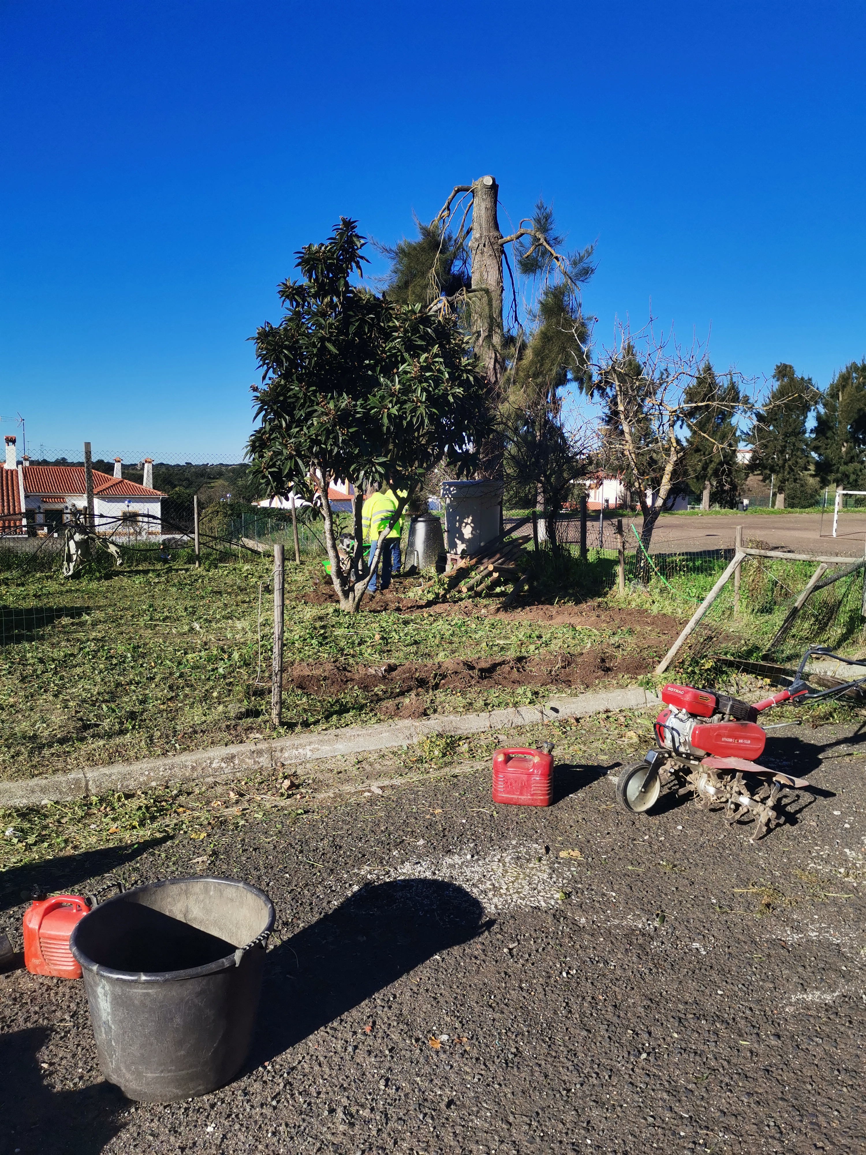 Preparação do terreno com motocultivadora1