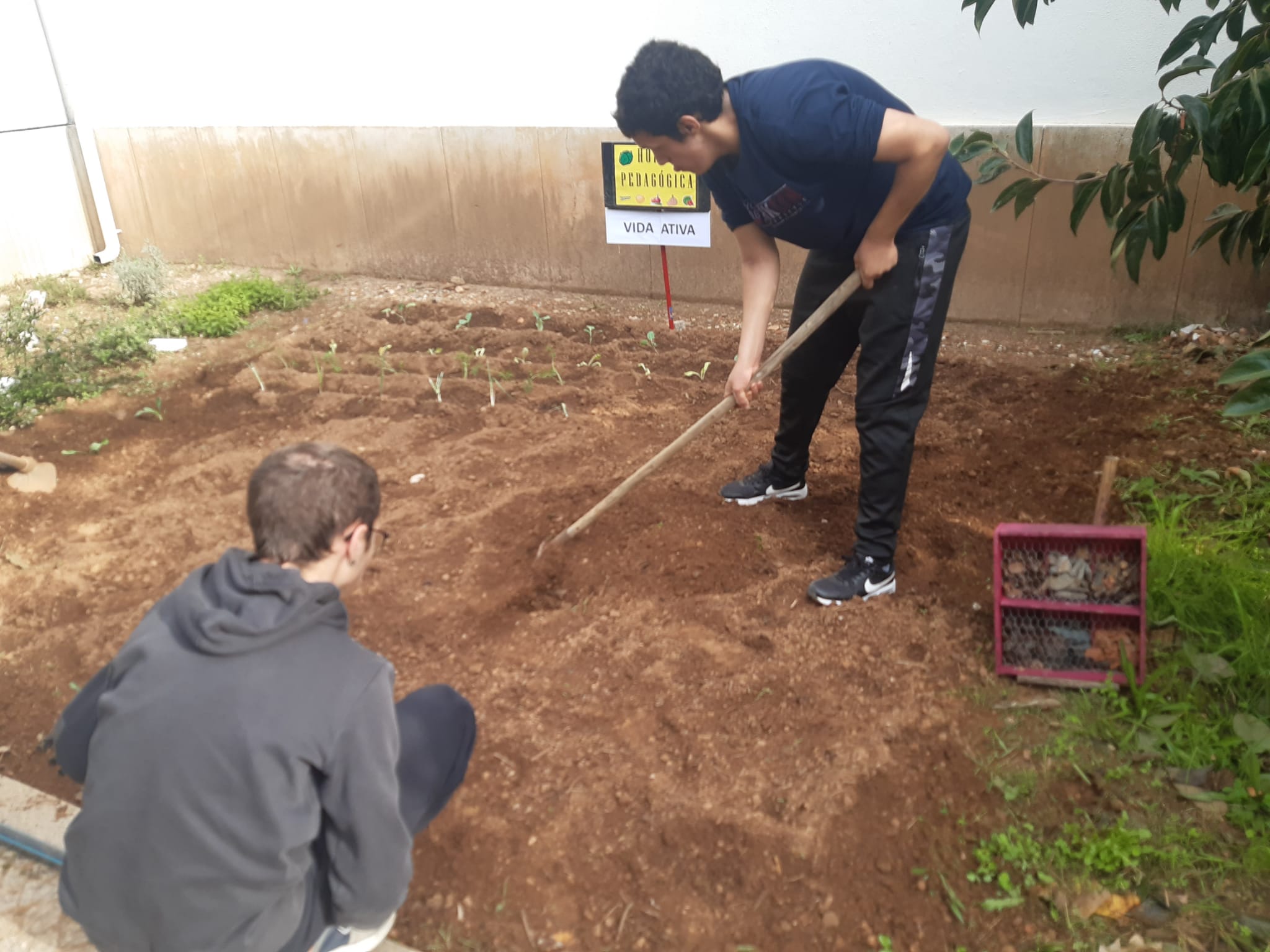 Preparação e plantio de culturas hortícolas.