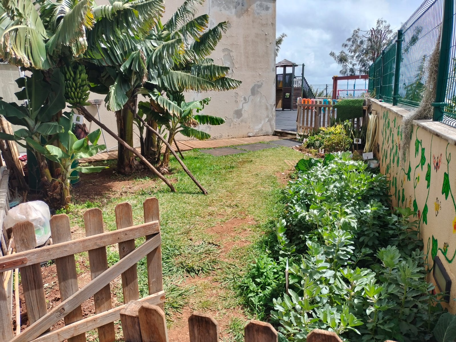Imagem da horta, onde podemos visualizar as bananeiras, a horta pedagógica, o jardim de polinizadores e o espaço das ervas aromáticas.