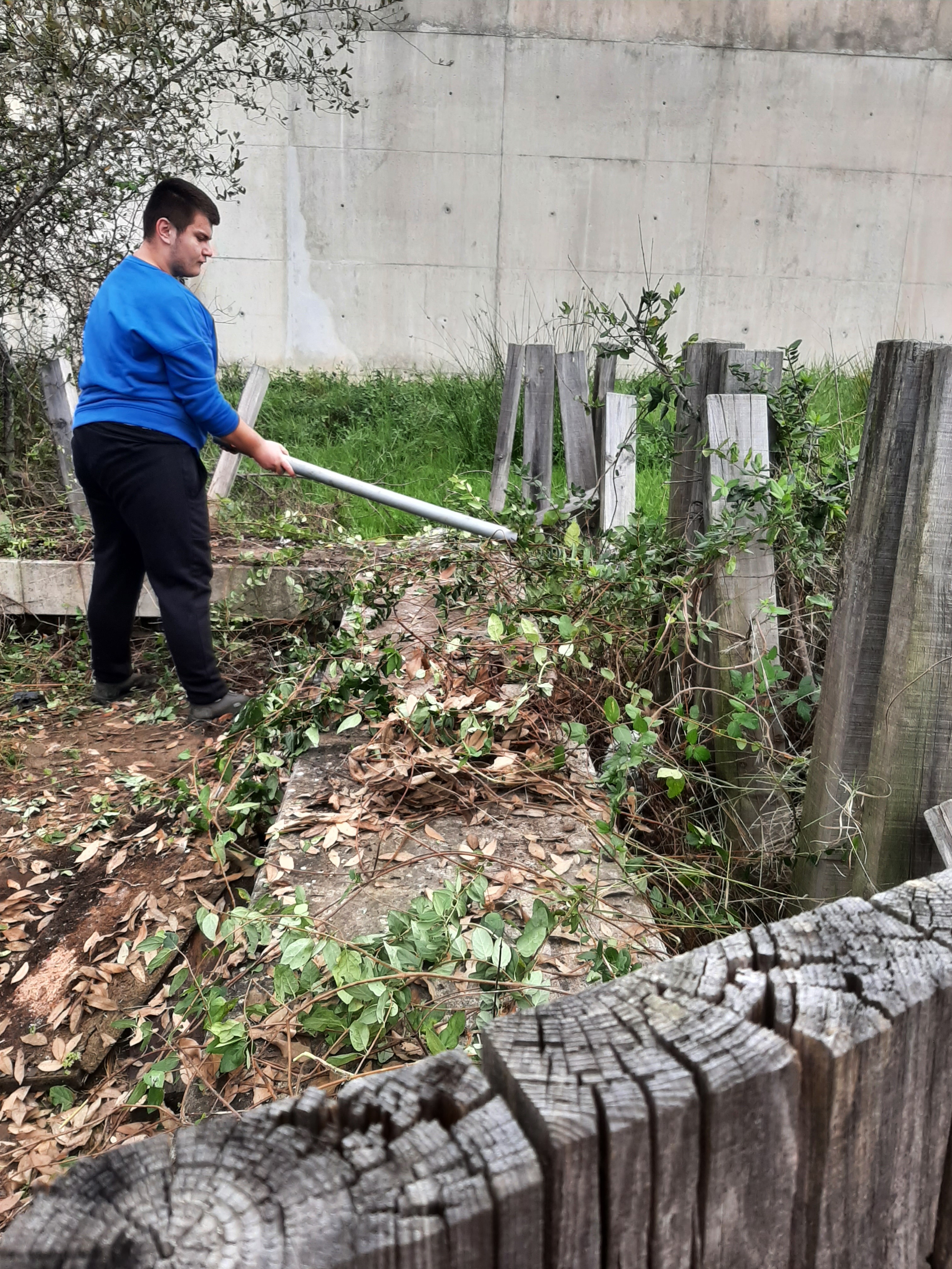 Trabalho de limpeza da horta e organização de canteiros.