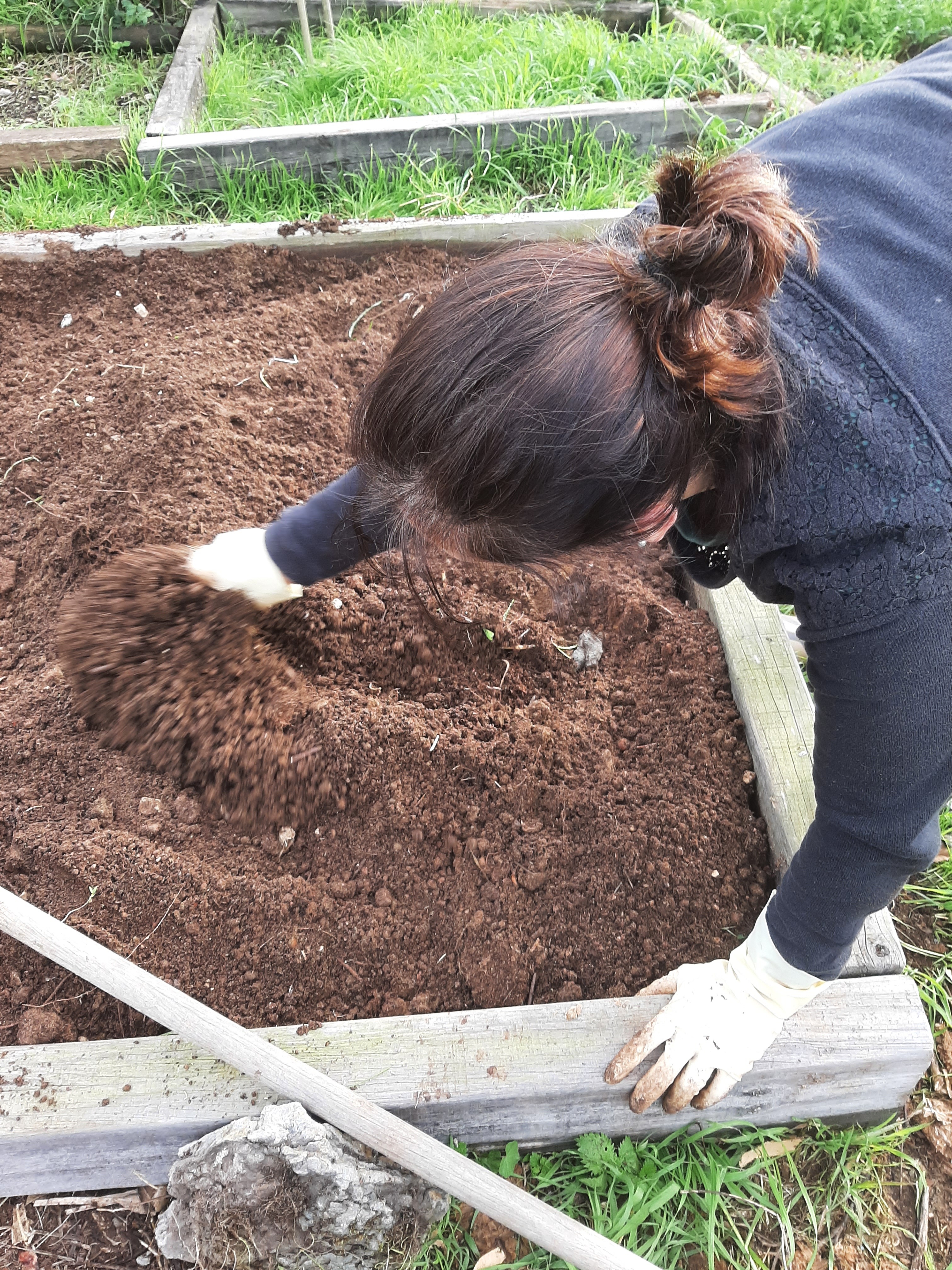 Tratamento do solo, preparação para cultivo.