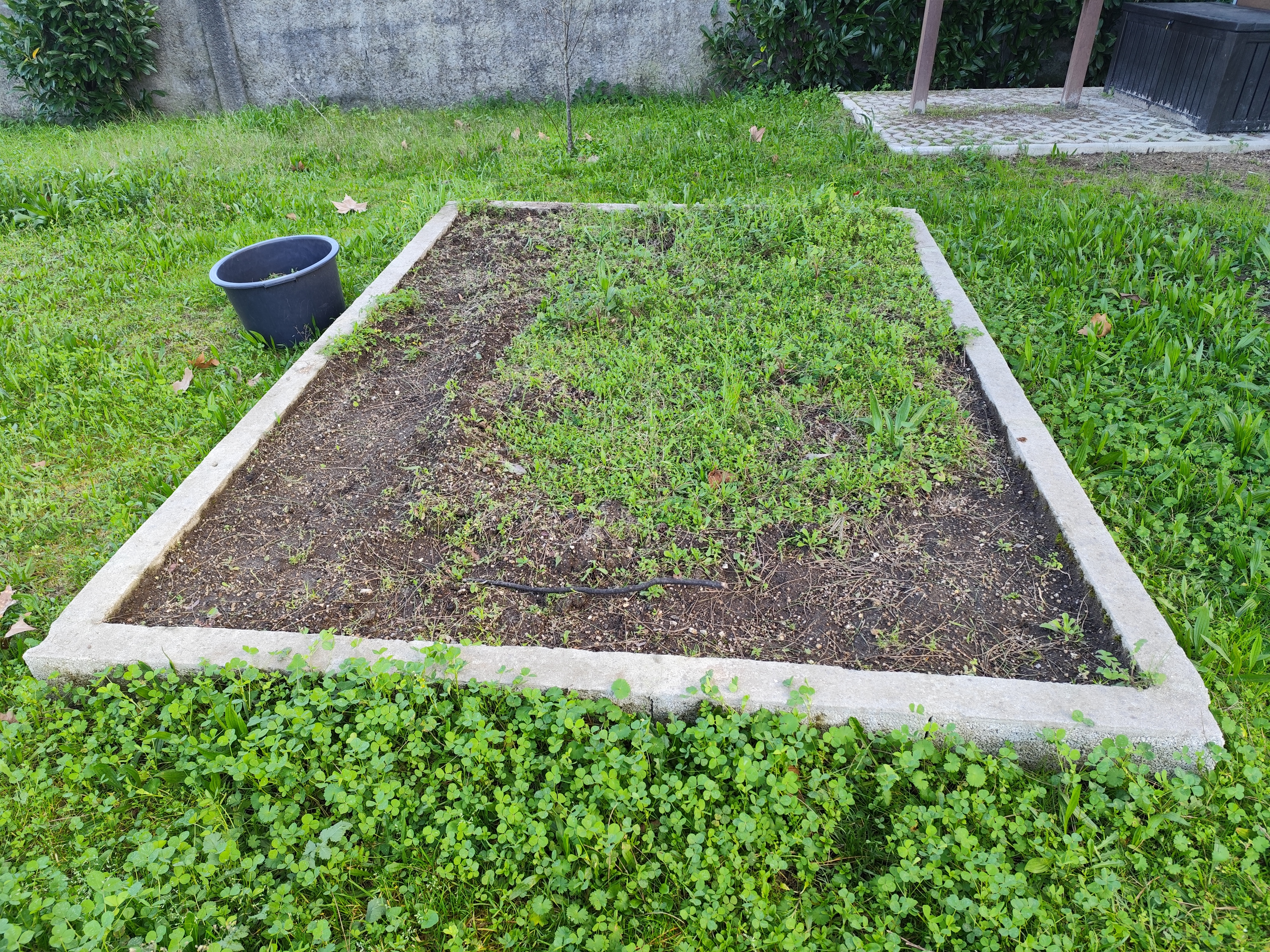 Canteiro 1 - ainda nada plantado , a lavrar