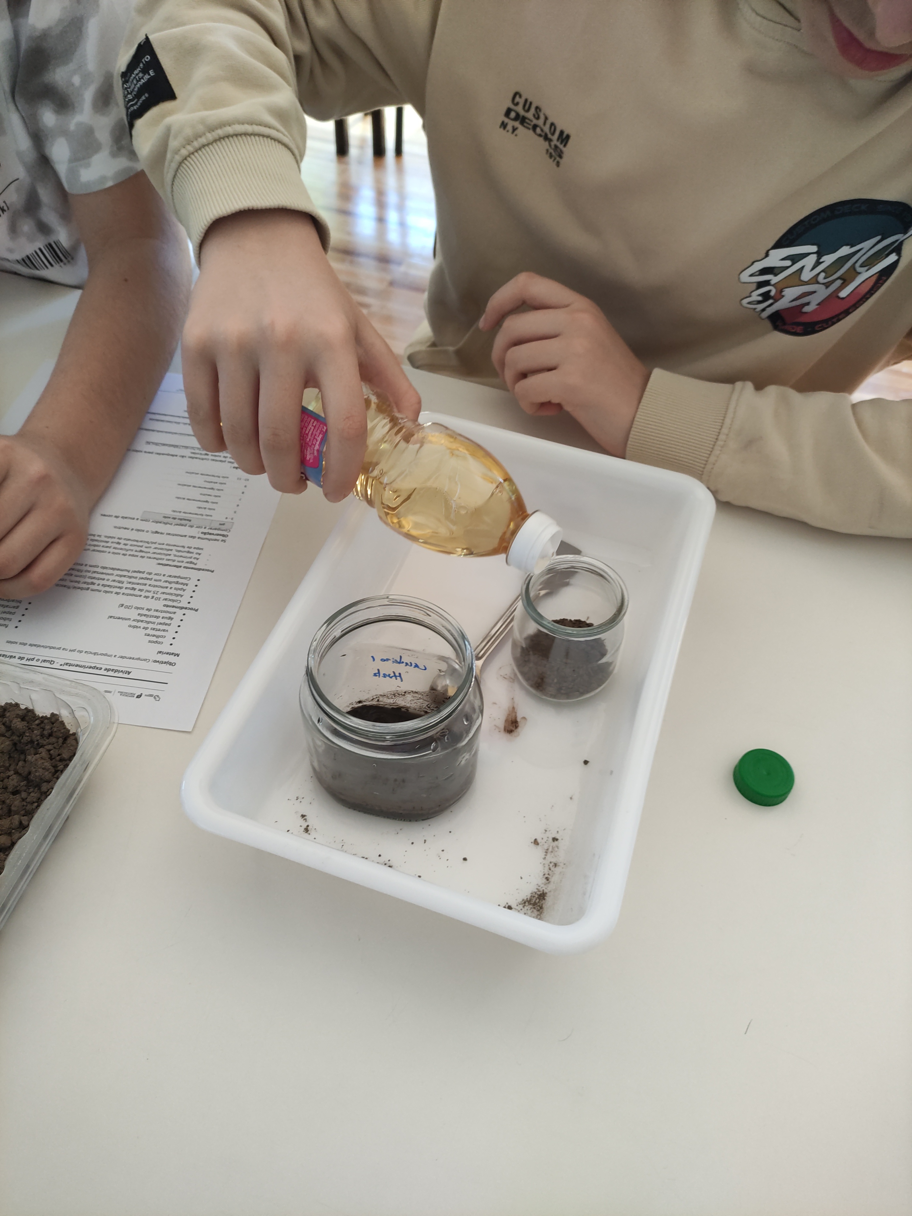 Realização de experiências - teste do pH - reação do solo ao vinagre e bicarbonato de sódio - com alunos do 8º ano