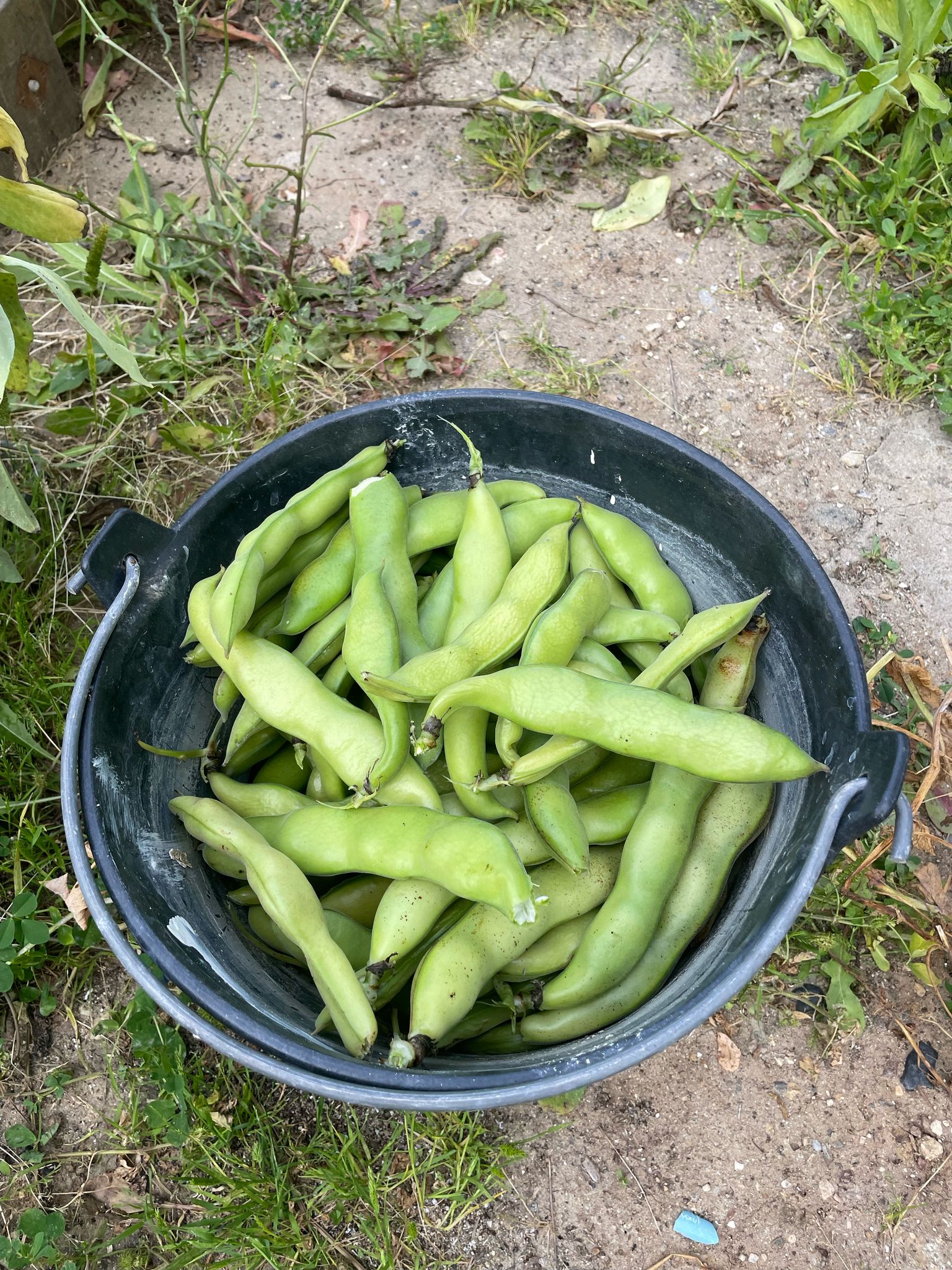 Produto final
