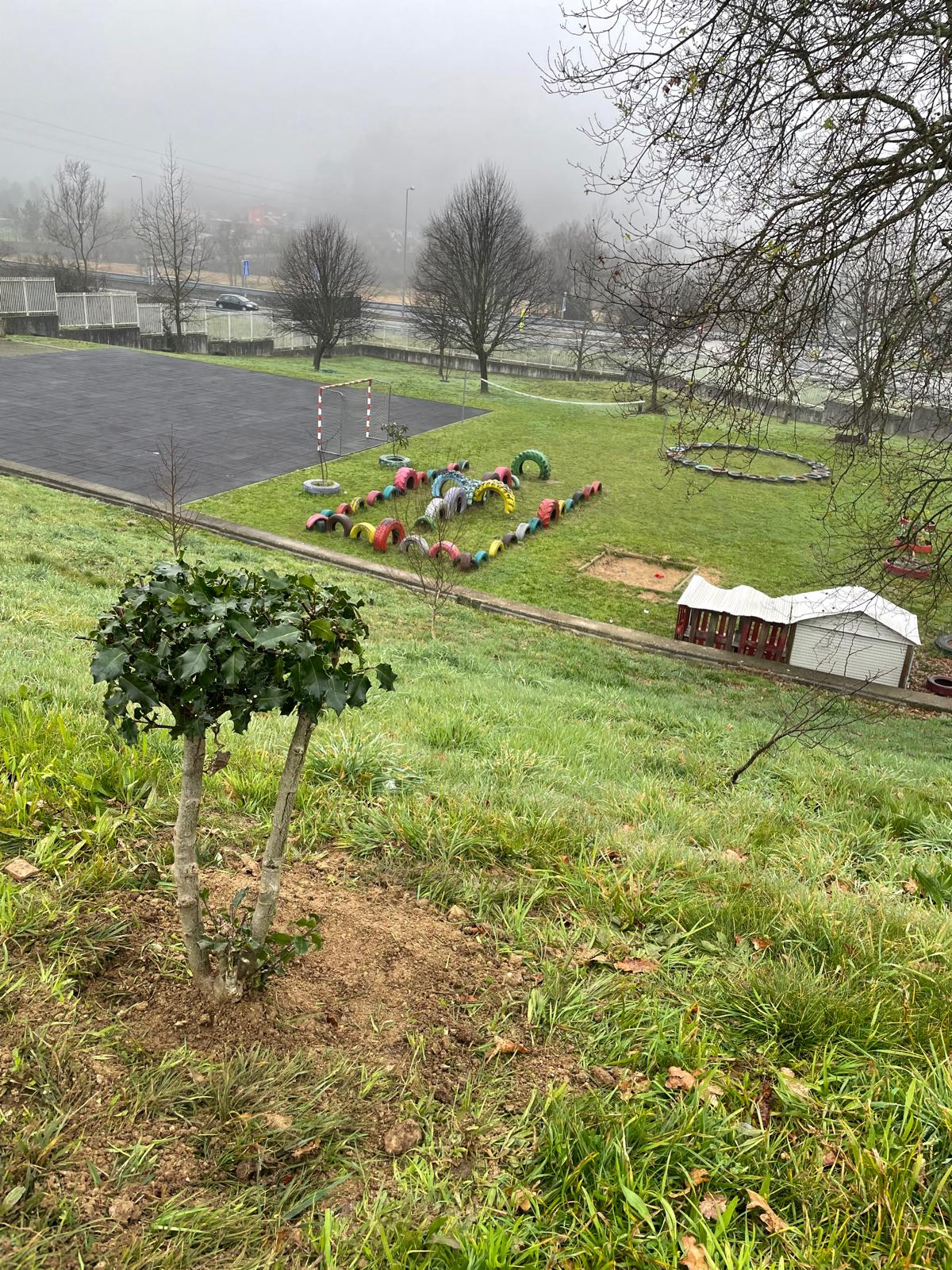Plantação de árvores autóctones.