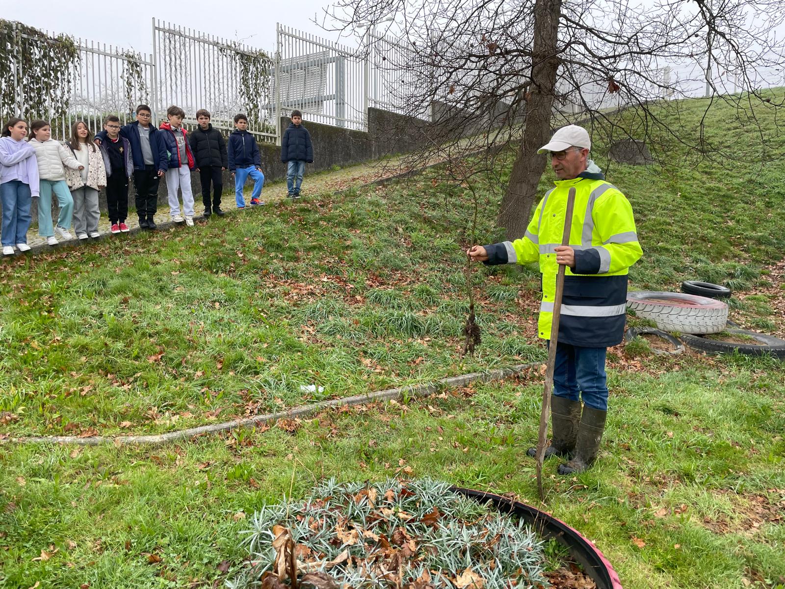 Plantação de árvores autóctones.