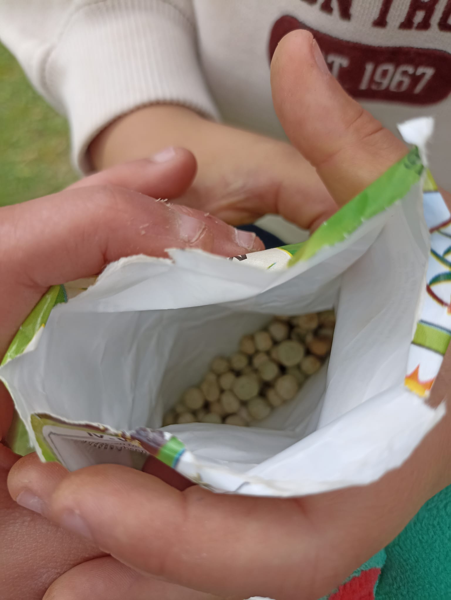 Germinação.
