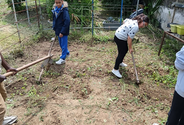 Preparação do solo para cultivo