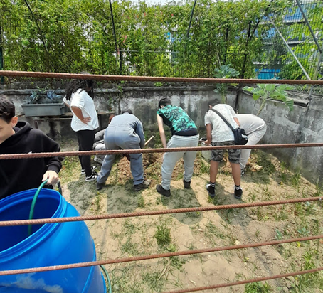 Limpeza de terreno das plantas e outros objetos para preparar o cultivo