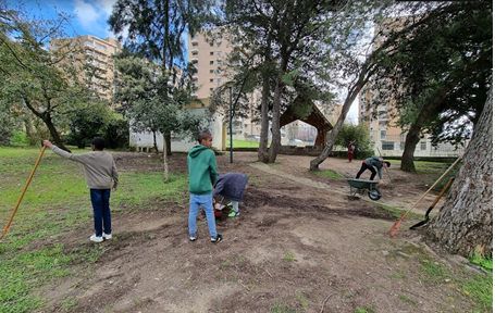 Limpeza de terreno das plantas e outros objetos para preparar o cultivo
