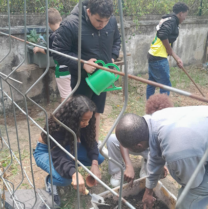 fase de sementeira em viveiros