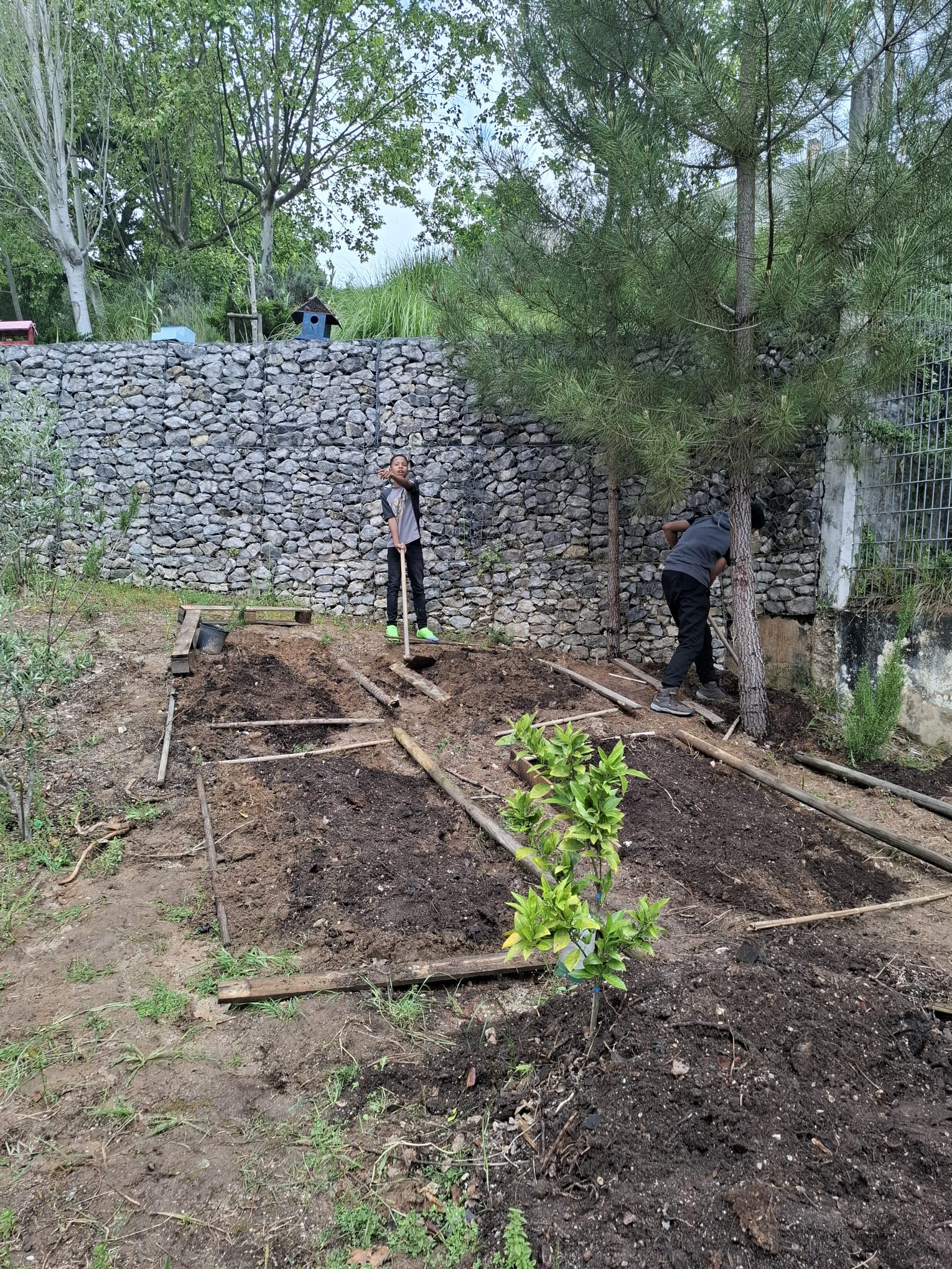 Novo espaço limpo e pronto para a plantação de novas plantas.