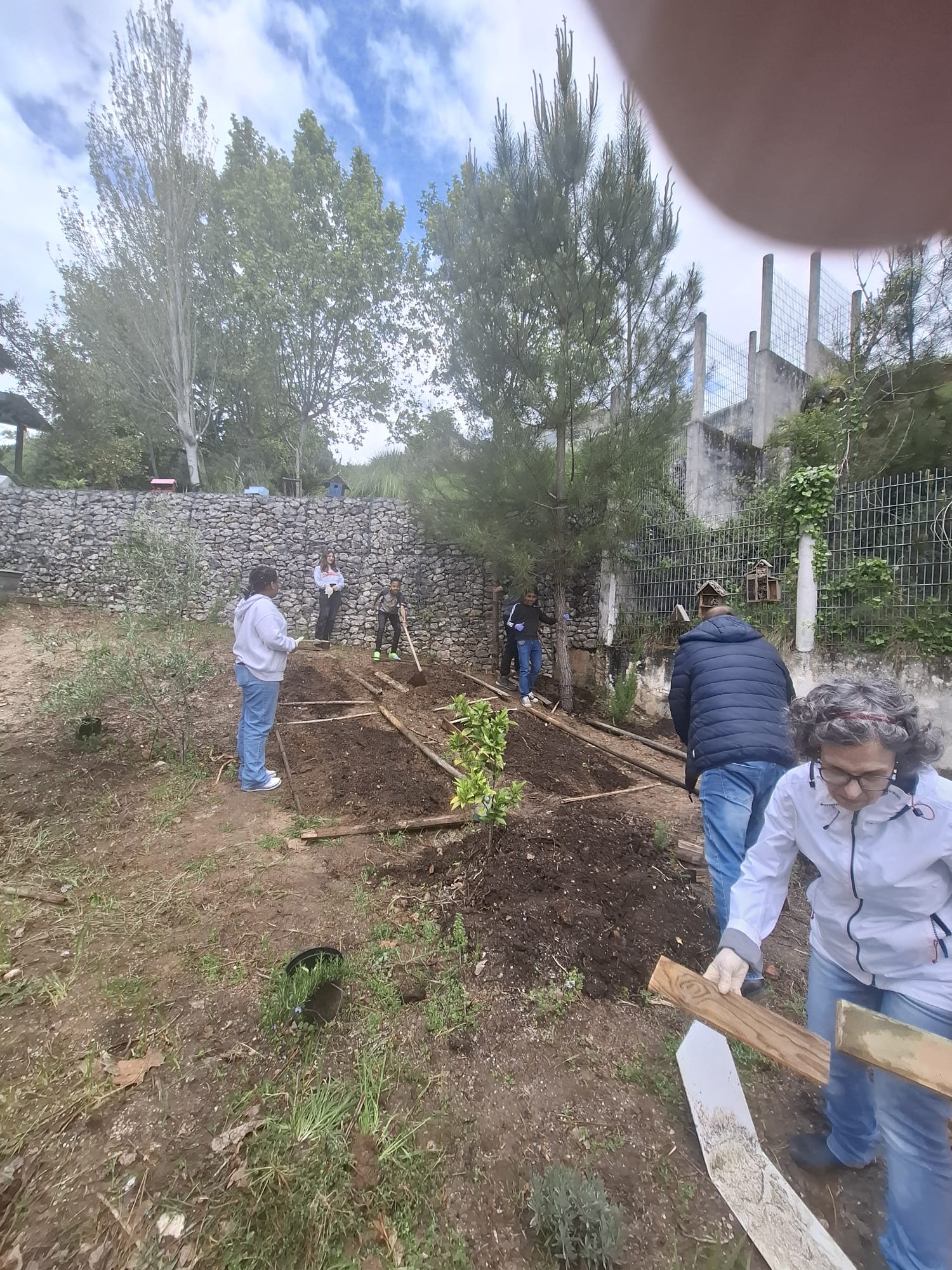 Novo espaço limpo e pronto para a plantação de novas plantas.