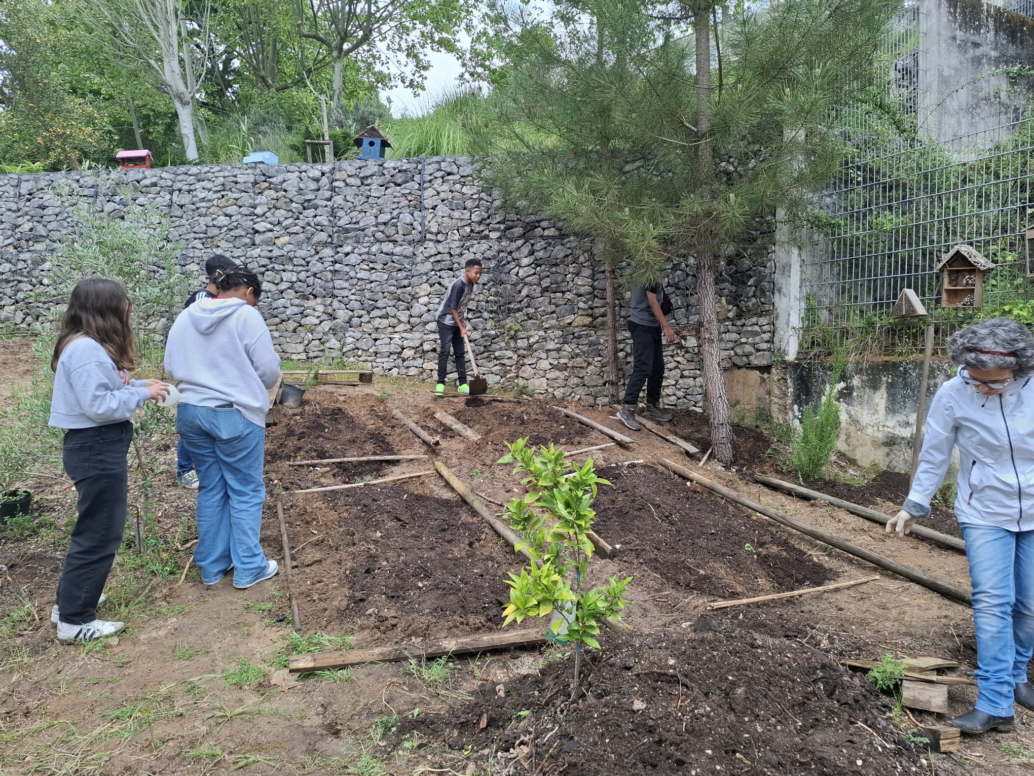 Novo espaço limpo e pronto para a plantação de novas plantas.