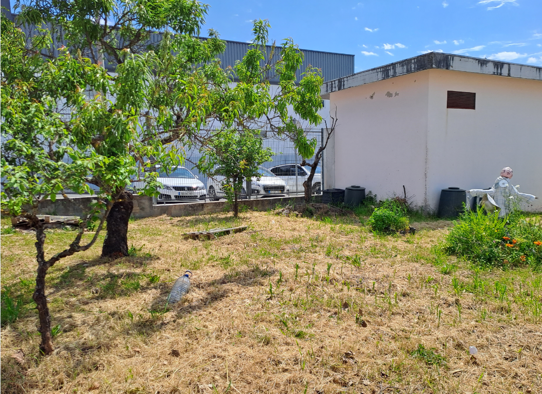 Espaço da horta.